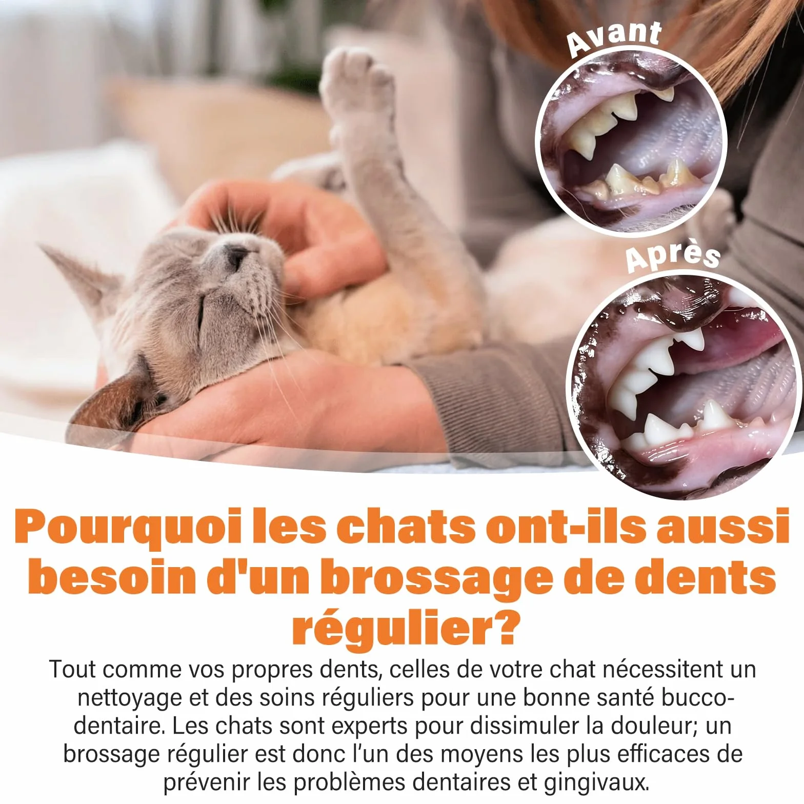 Kit de soins dentaires pour chat UNEK Dentifrice enzymatique 30 g goût poulet rôti brosse à dents brosse à doigts