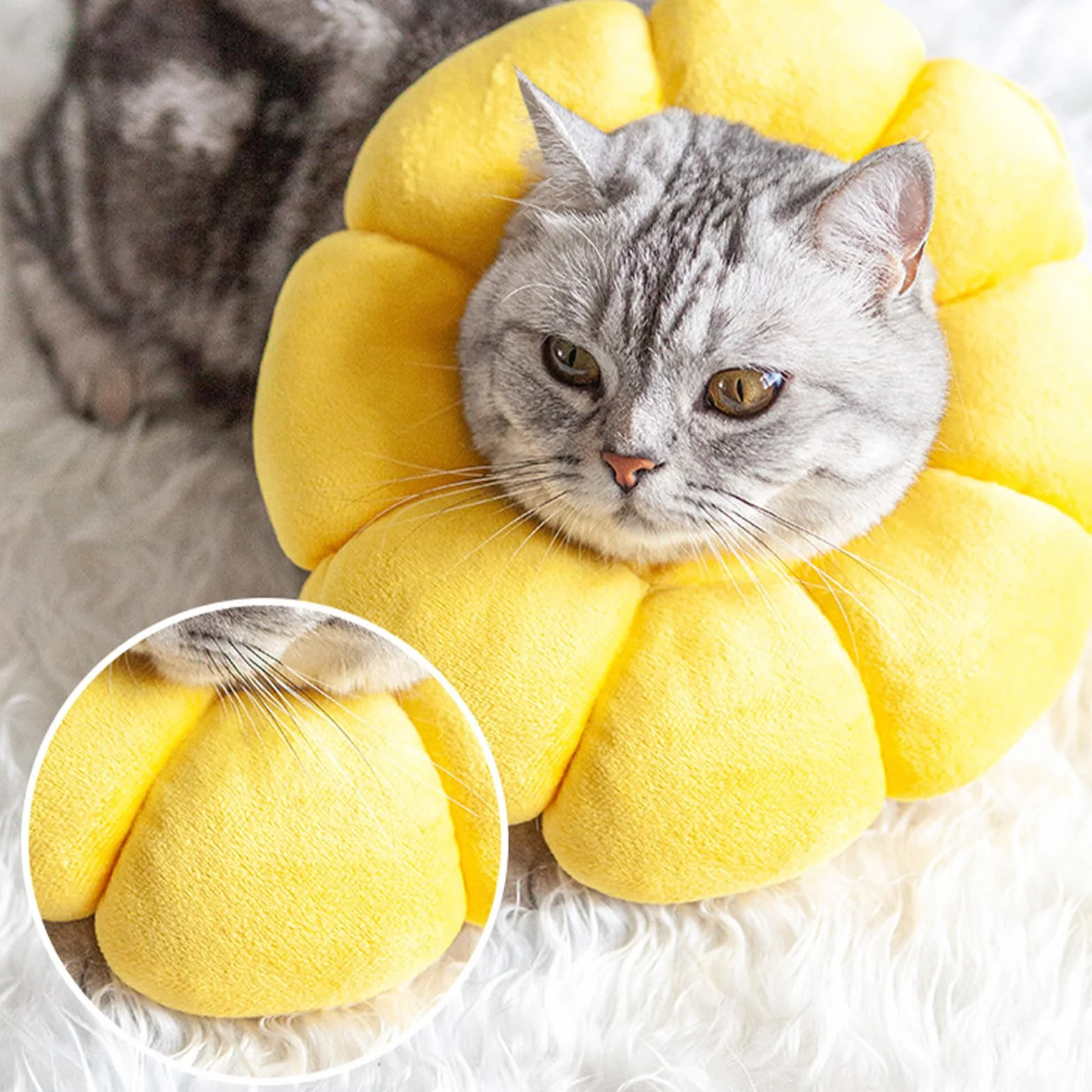 Collier de Protection Chat Tournesol, Collerette en Coton Suédé Respirant, Ajustable 14-22cm (M)