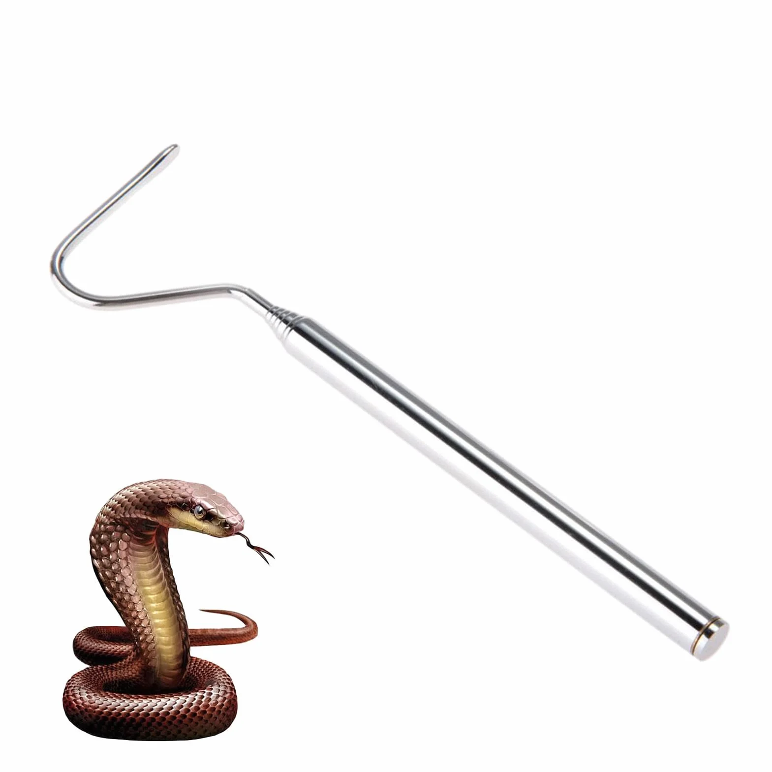 Attrape-serpents professionnel en acier inoxydable - Outil de prise télescopique