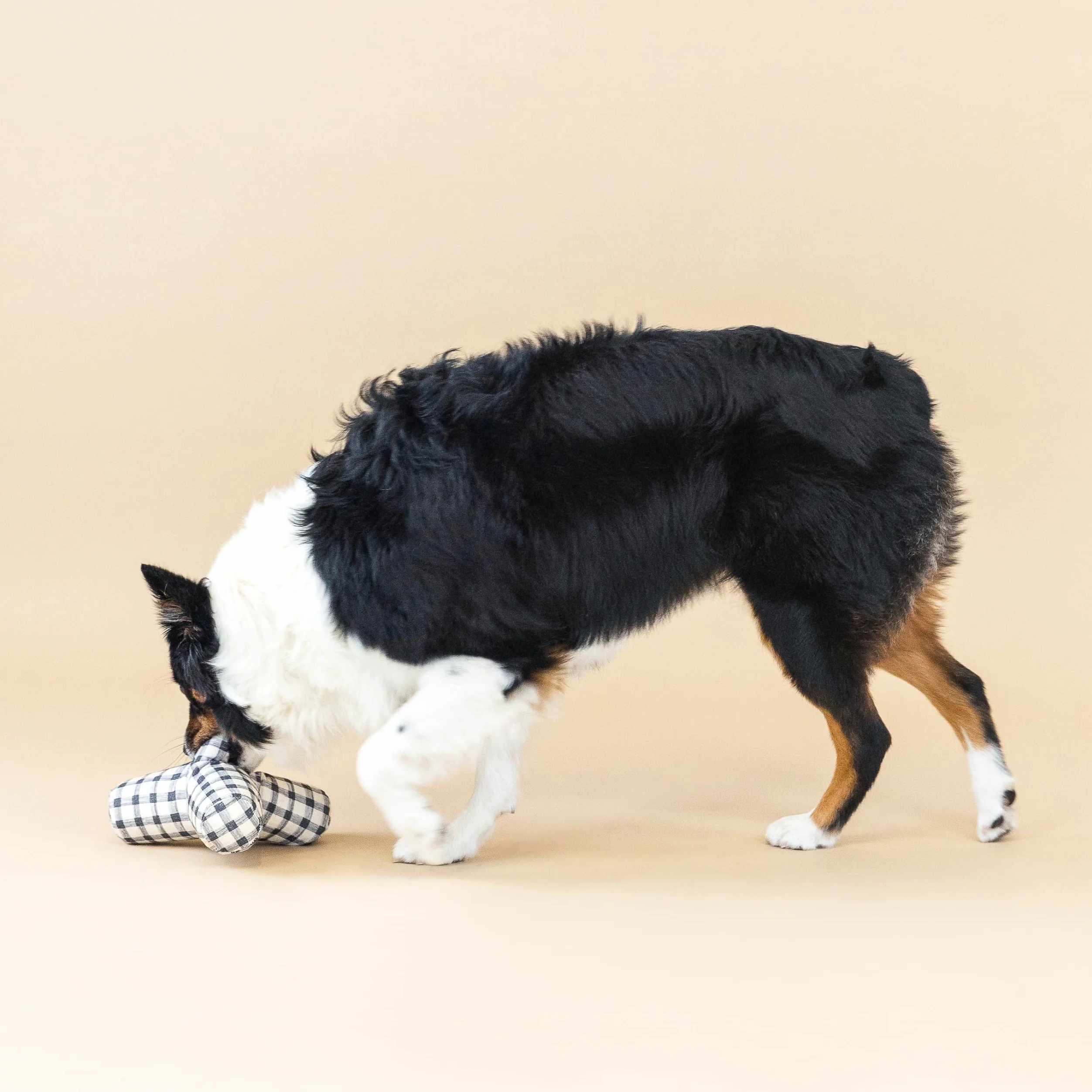 Fringe Studio 523032 Jouet pour chien en toile Vichy peint en 3D