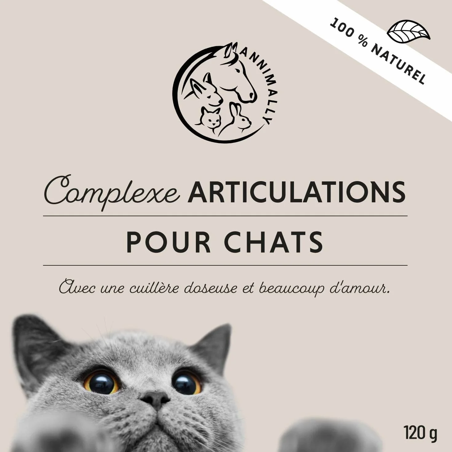 Annimally Poudre pour les Articulations pour Chats 120g – Complément Articulaire avec Moule Verte, MSM, Griffe du Diable, Taurine, Glucosamine