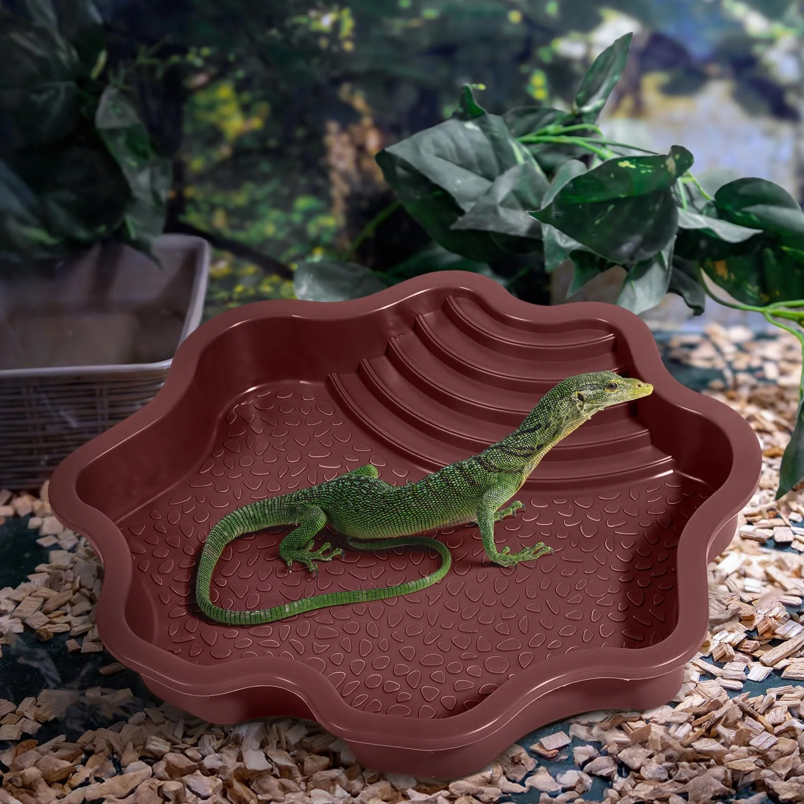 MagiDeal Bol de Bain d'eau pour Tortue, Piscine pour Reptiles avec Rampe, Rouge Brunâtre