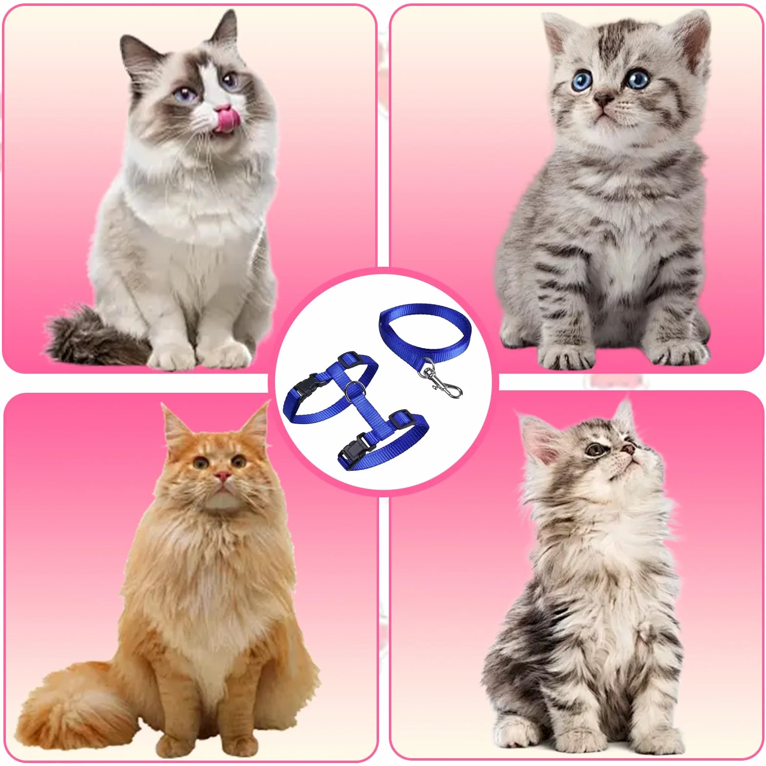 Harnais Doux pour Chat Réglable avec Boucle de Sécurité Anti-Fuite