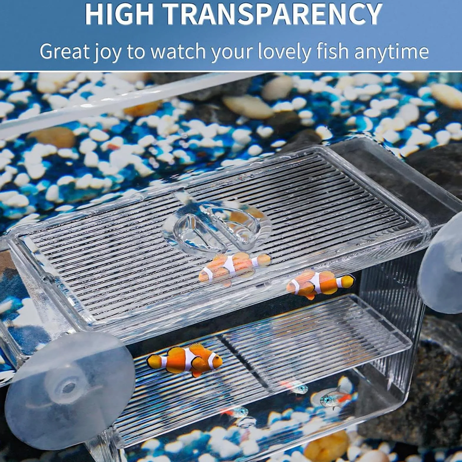 Boîte d'isolation Transparente pour Poissons et Crevettes - Réservoir d'incubateur en Acrylique pour Aquarium