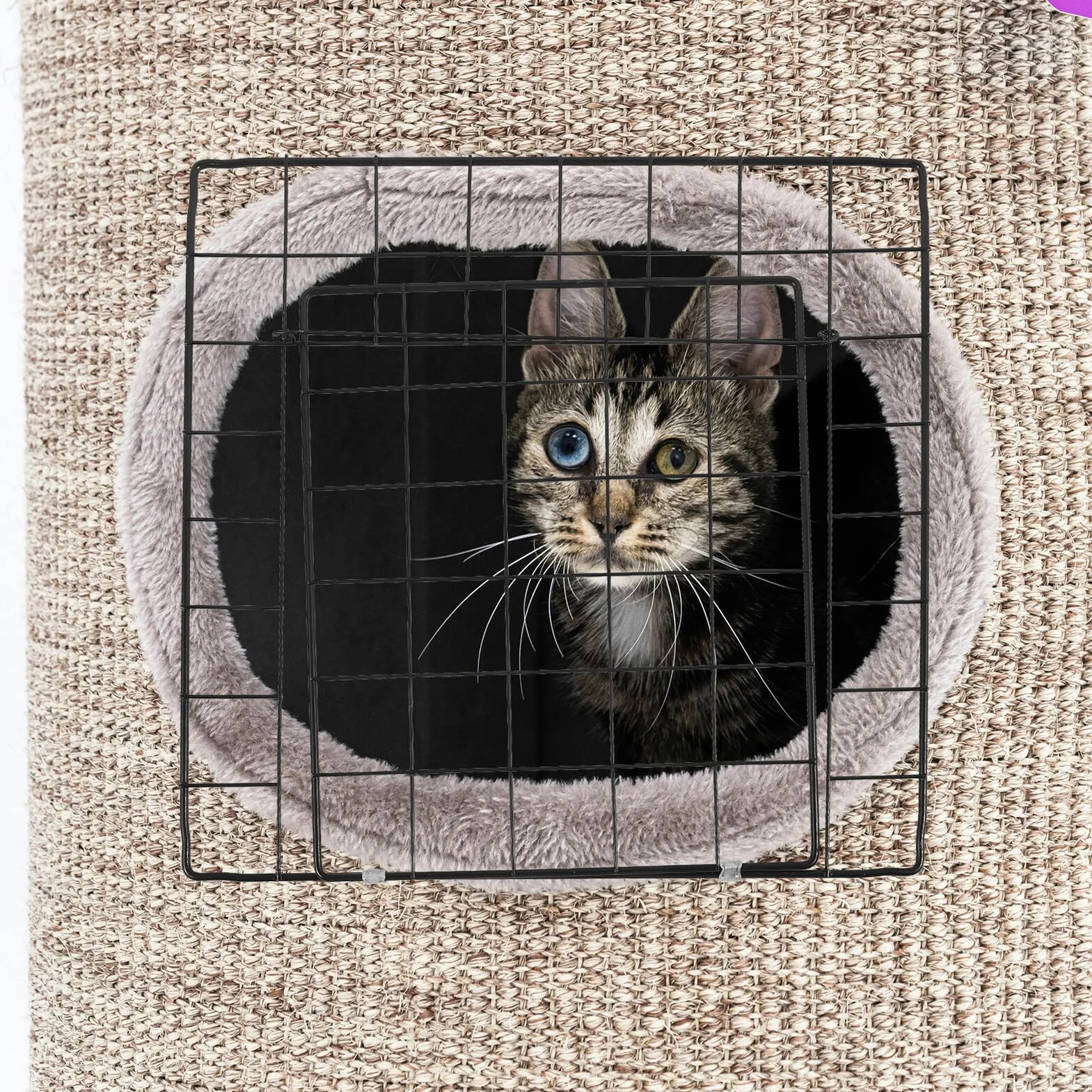 Yardwe Petite Porte de Parc en Fer Noir pour Chats et Petits Animaux
