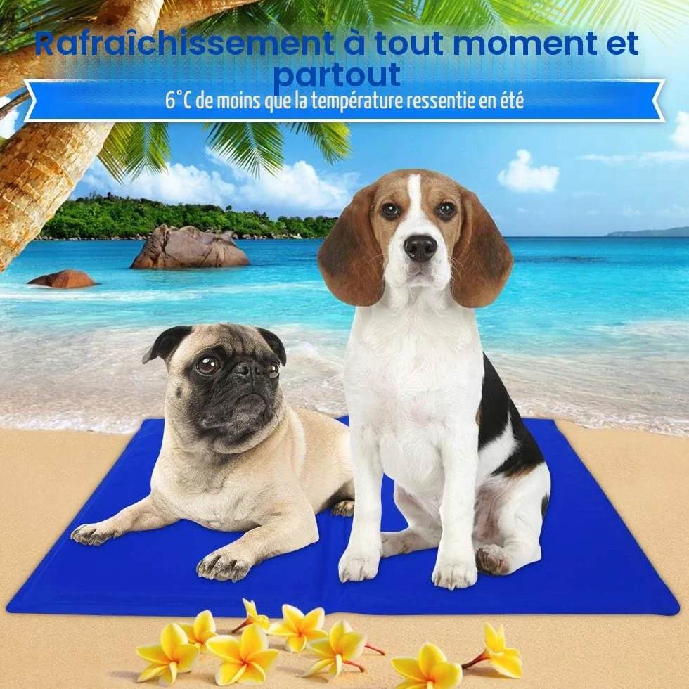 Tapis rafraîchissant pour animaux domestiques Chats Chiens M