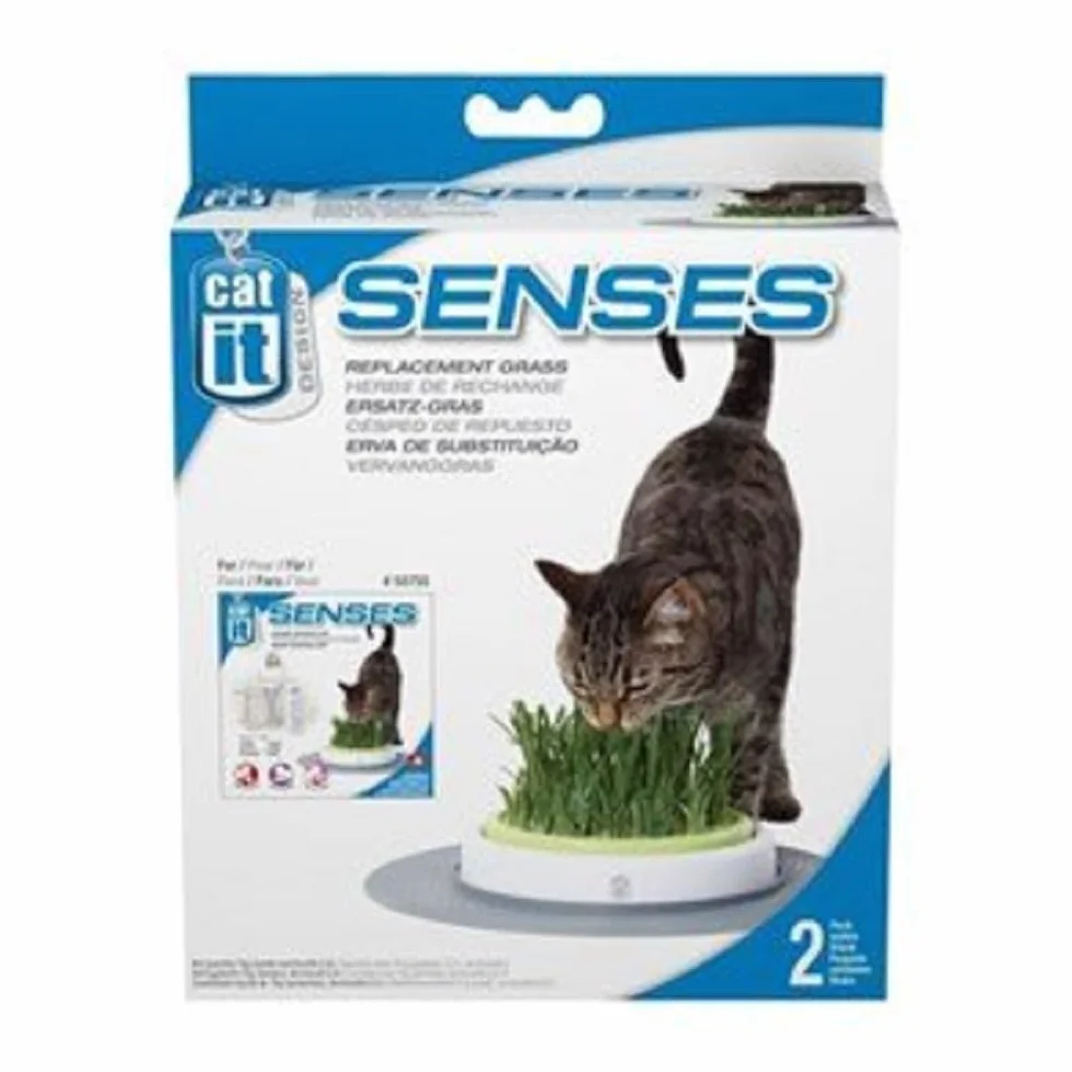 Catit Recharge Jardin d'Herbe à Chat