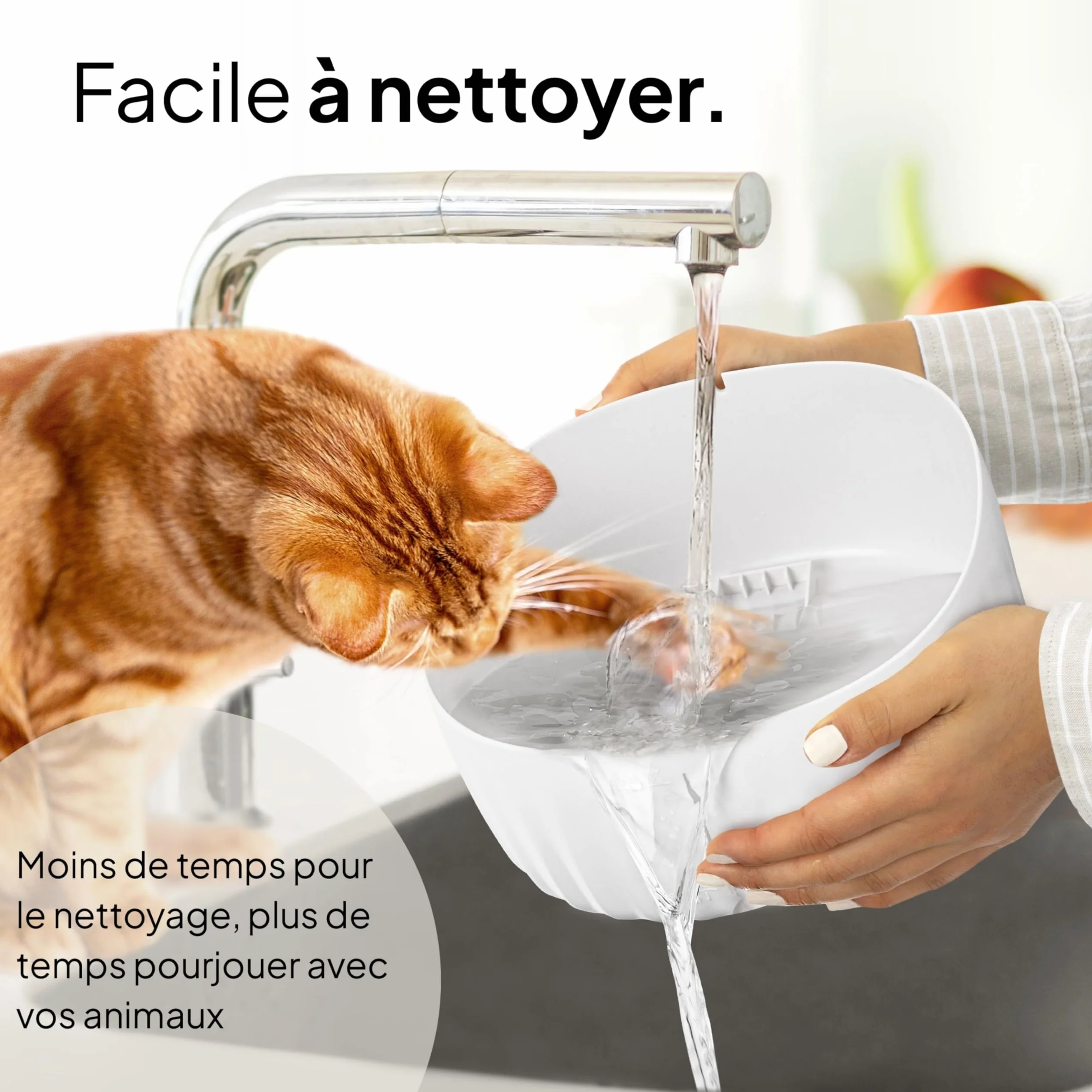 Fontaine à Eau Chat 3L Filtration Charbon Actif Silencieuse Indicateur LED Blanc