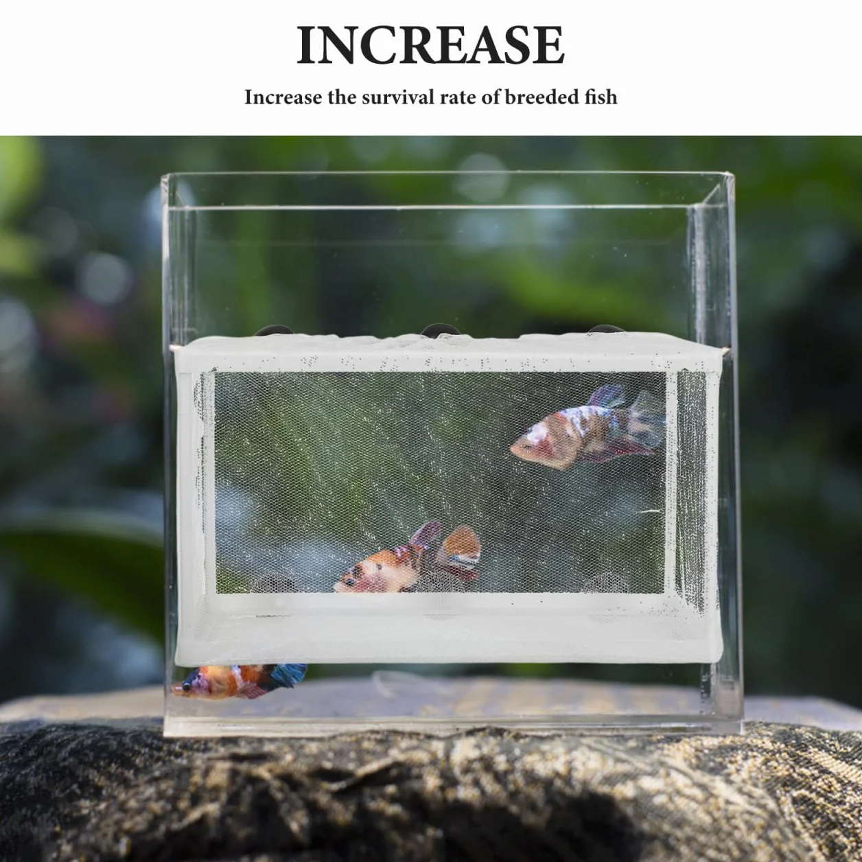 IMIKEYA Couveuse Et Pondoir Aquarium - Boîte D'élevage De Taille pour Nurserie Et Incubation De Poissons