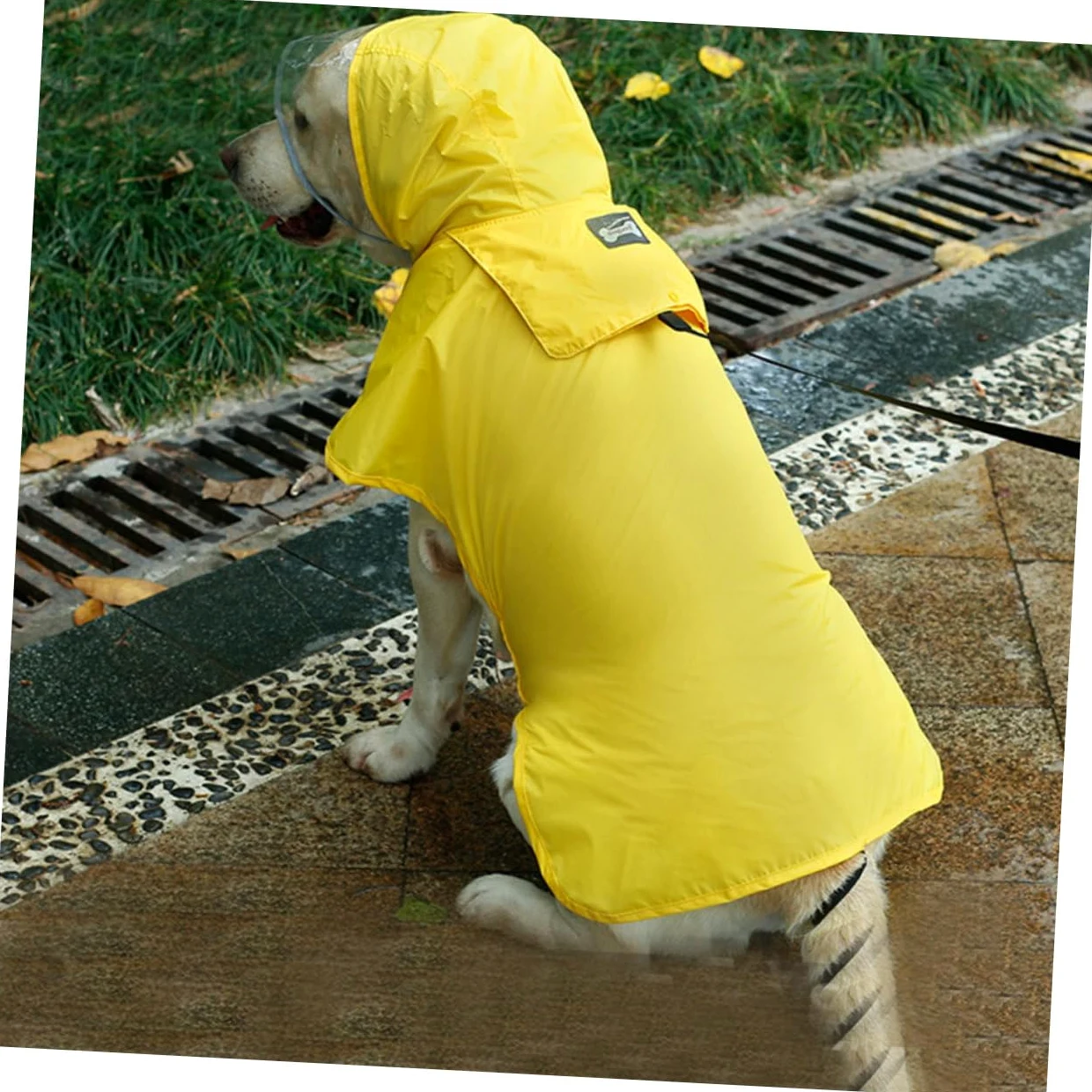 Manteaux de Pluie imperméables pour Chien, imperméable pour Chien, 2 pièces, Gilet réfléchissant à Capuche pour Chien, Gilets réfléchissants, Manteaux de Pluie