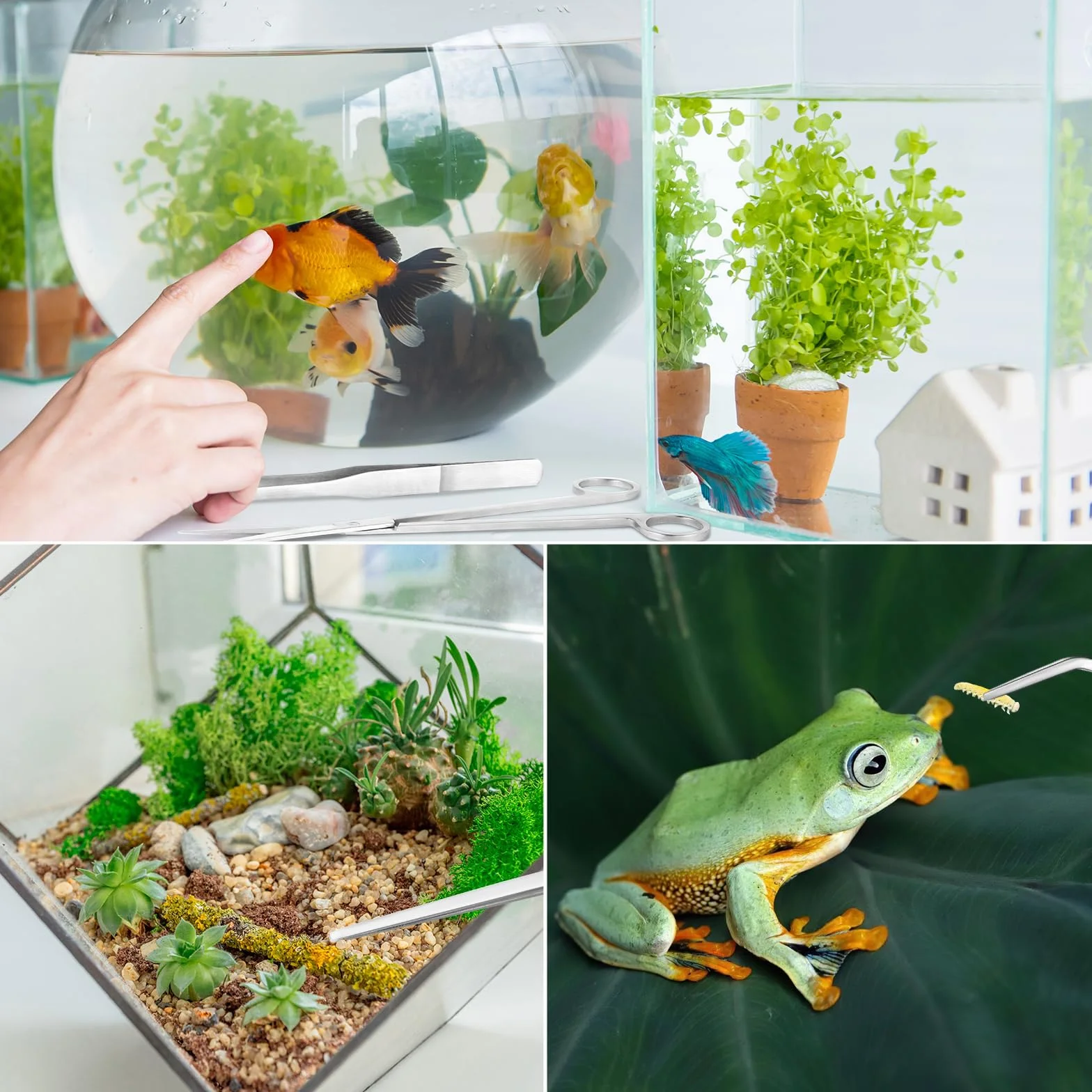 Aquarium Kit Outil Accessoires en Acier Inoxydable, 3 Pack Poisson Starter Kits