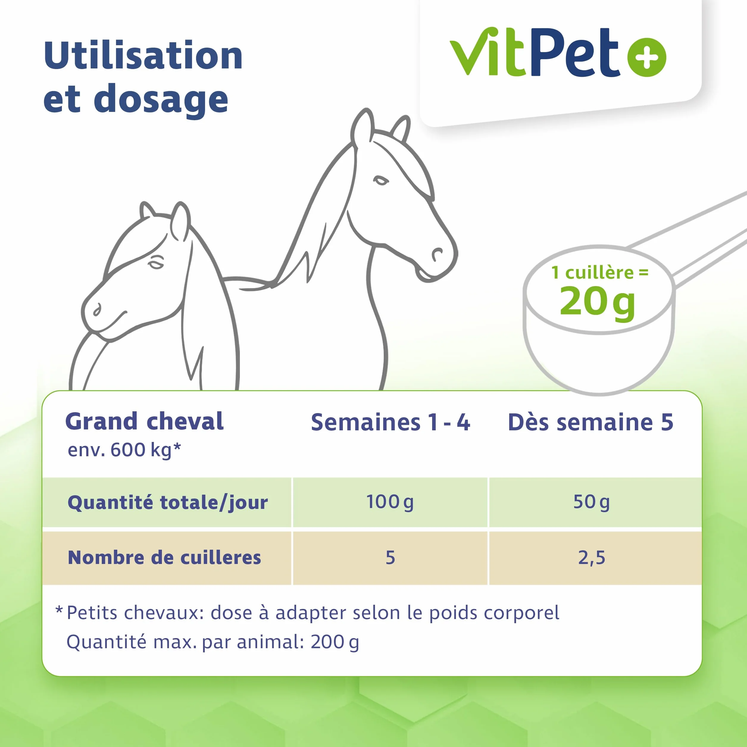 Huf Wohl Aliment minéral chevaux biotine zinc terre de diatomée levure de bière 4 kg croissance sabots