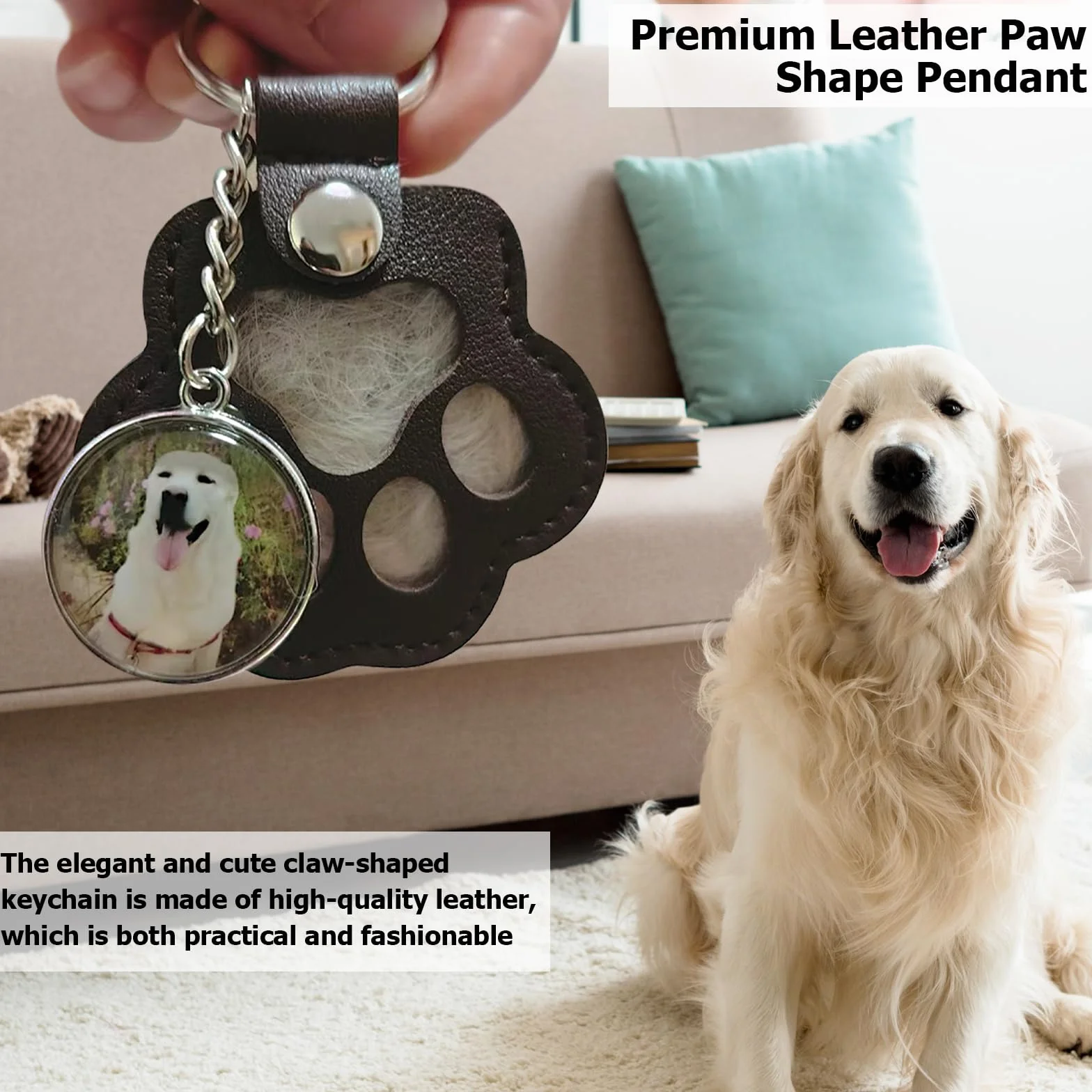 Porte-clés commémoratif en cuir patte de chien et chat, boîte à souvenirs personnalisée pour poils d'animaux