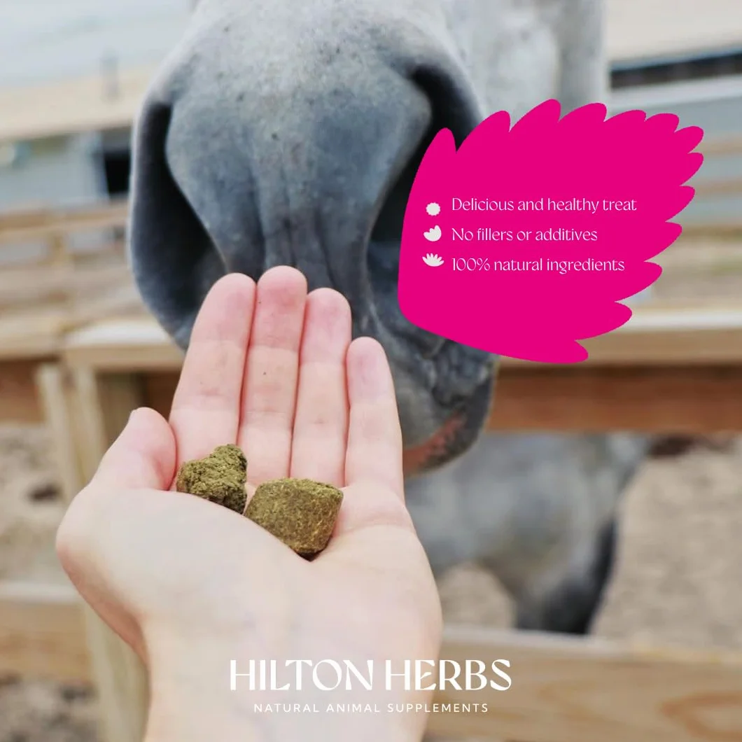 Hilton Herbs Herballs 500 g