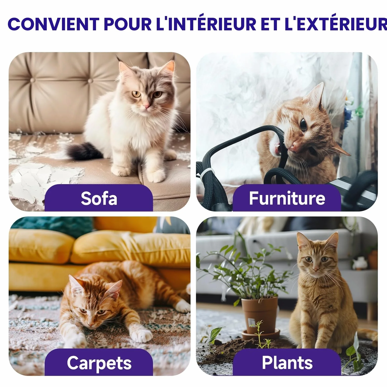 Spray Répulsif pour Chat 200ml Anti-Griffures Anti-Rayures pour Protéger Meubles et Plantes Intérieur Extérieur