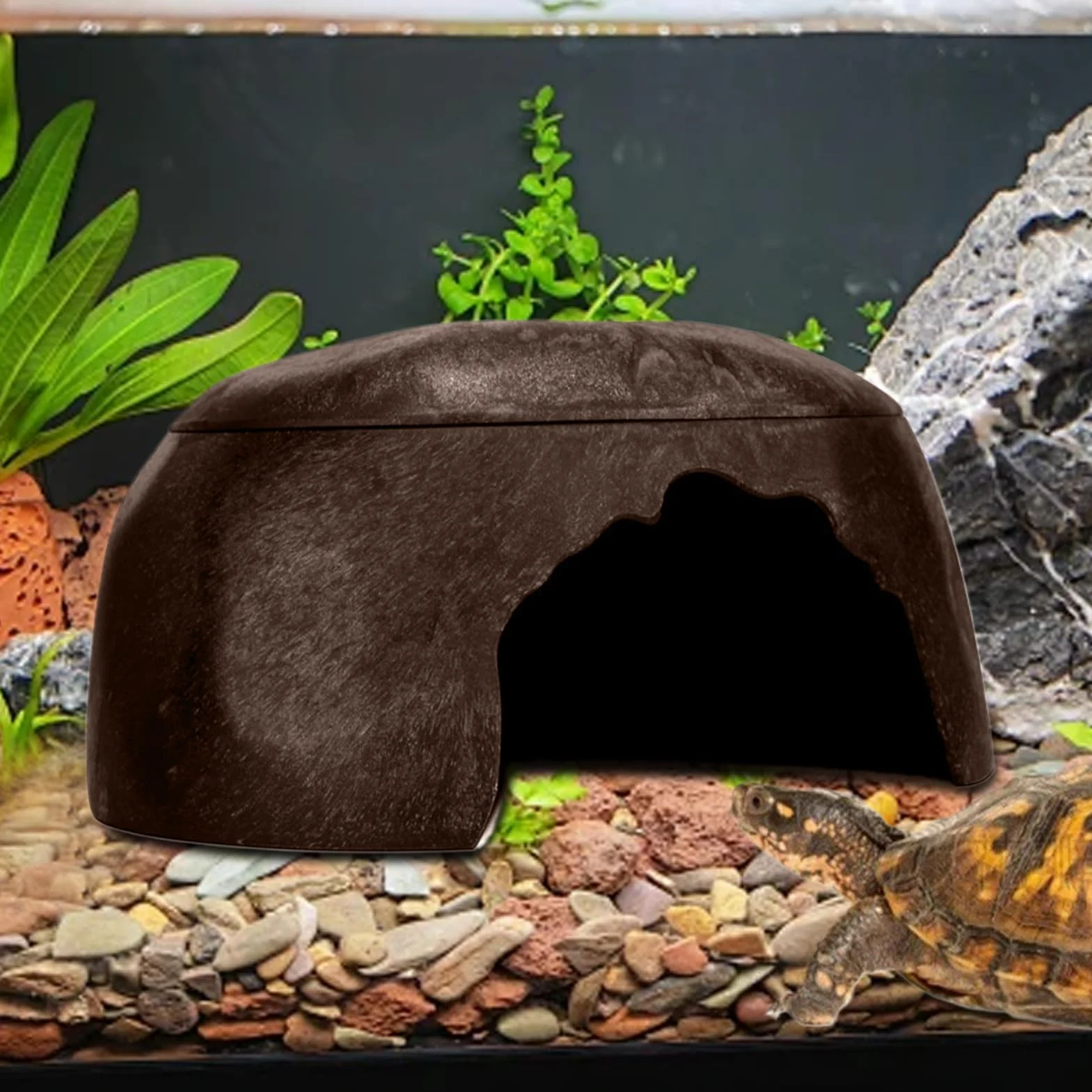 Cachette pour Reptiles, Abri pour Grenouilles, Lézard avec 3 Éviers pour Gecko, Barbu, Dragon