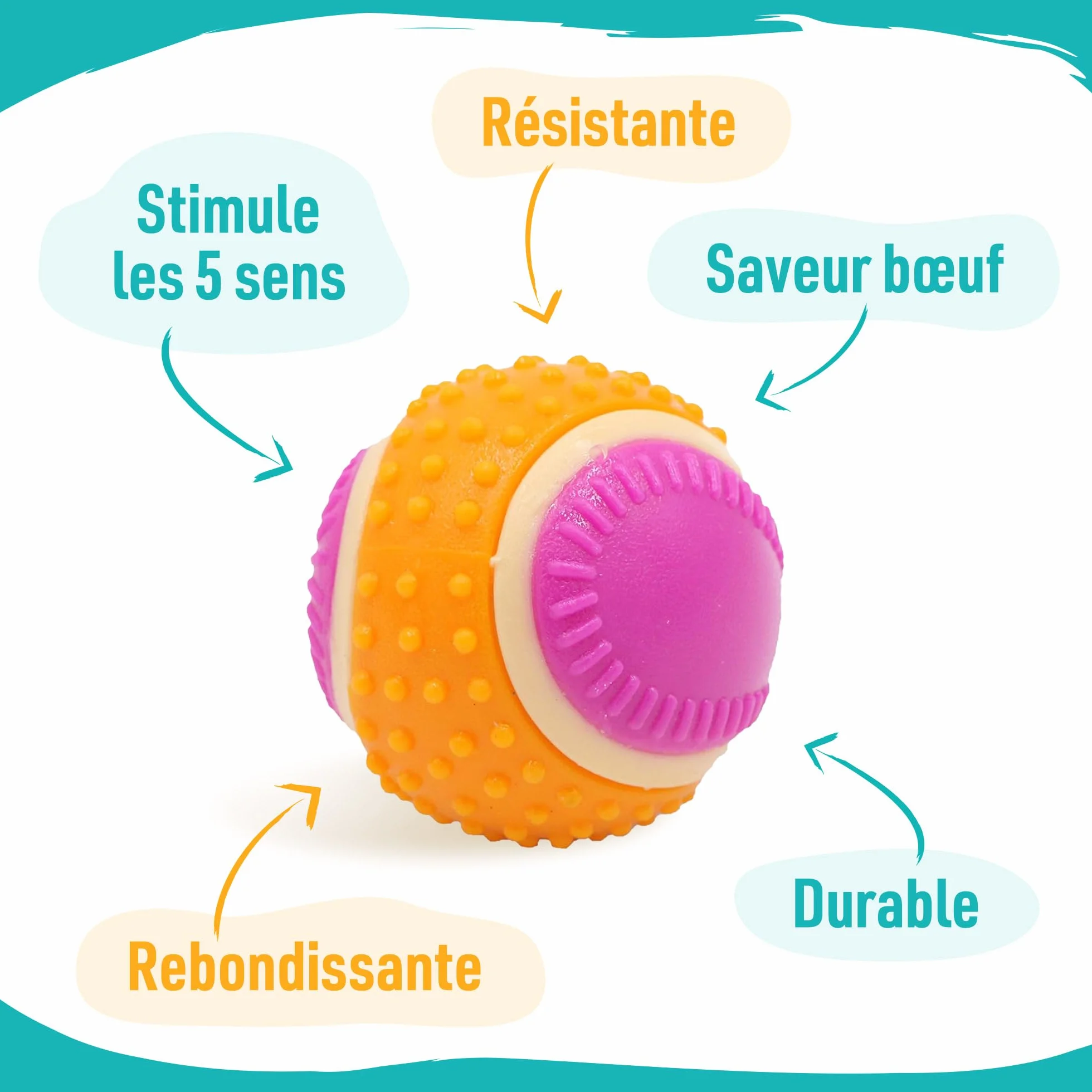 Aimé Balle pour Chien 5 en 1 Saveur Bœuf Jouet Interactif Éducatif 6 cm