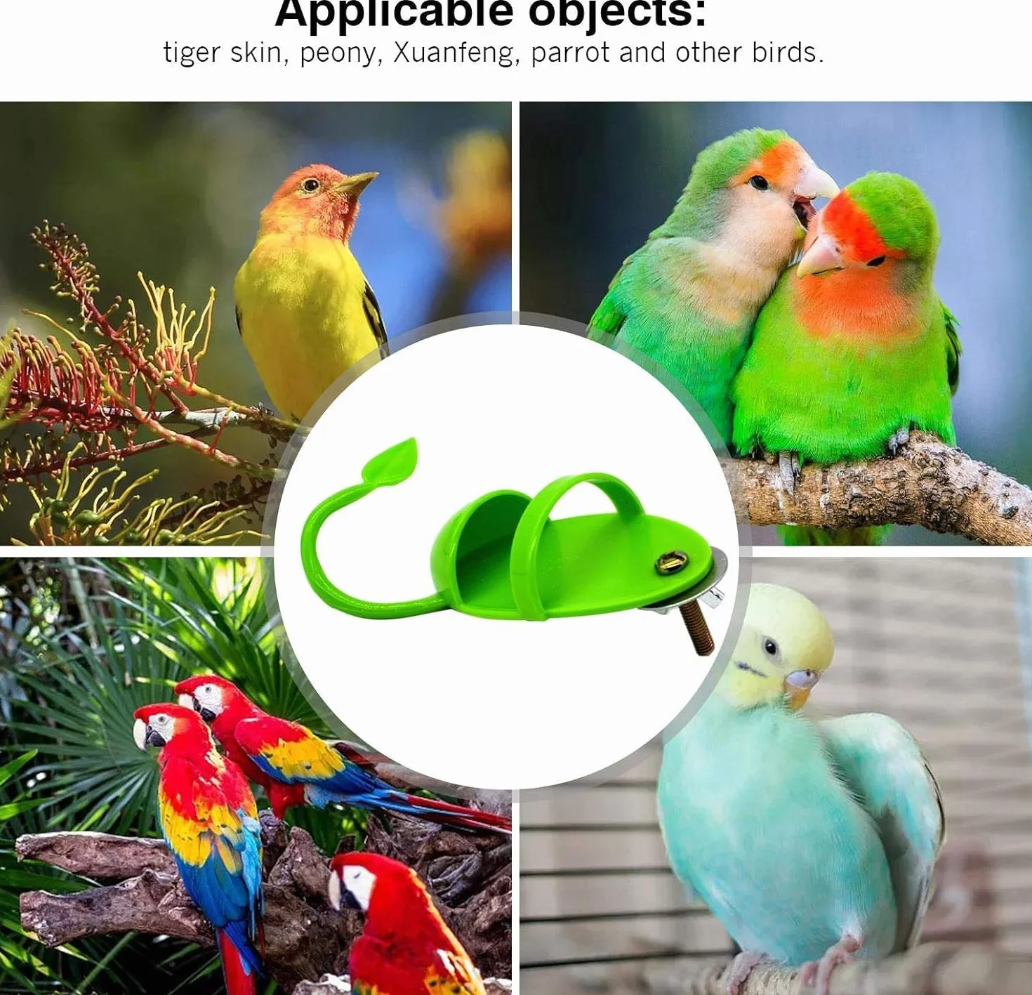 Supports pour Os de Seiche - Perche Porte-Nourriture pour Oiseaux de Compagnie