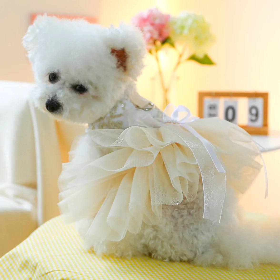 Robe chien fille champagne luxe mariée tutu princesse multicouche brodée fleurs chat taille M