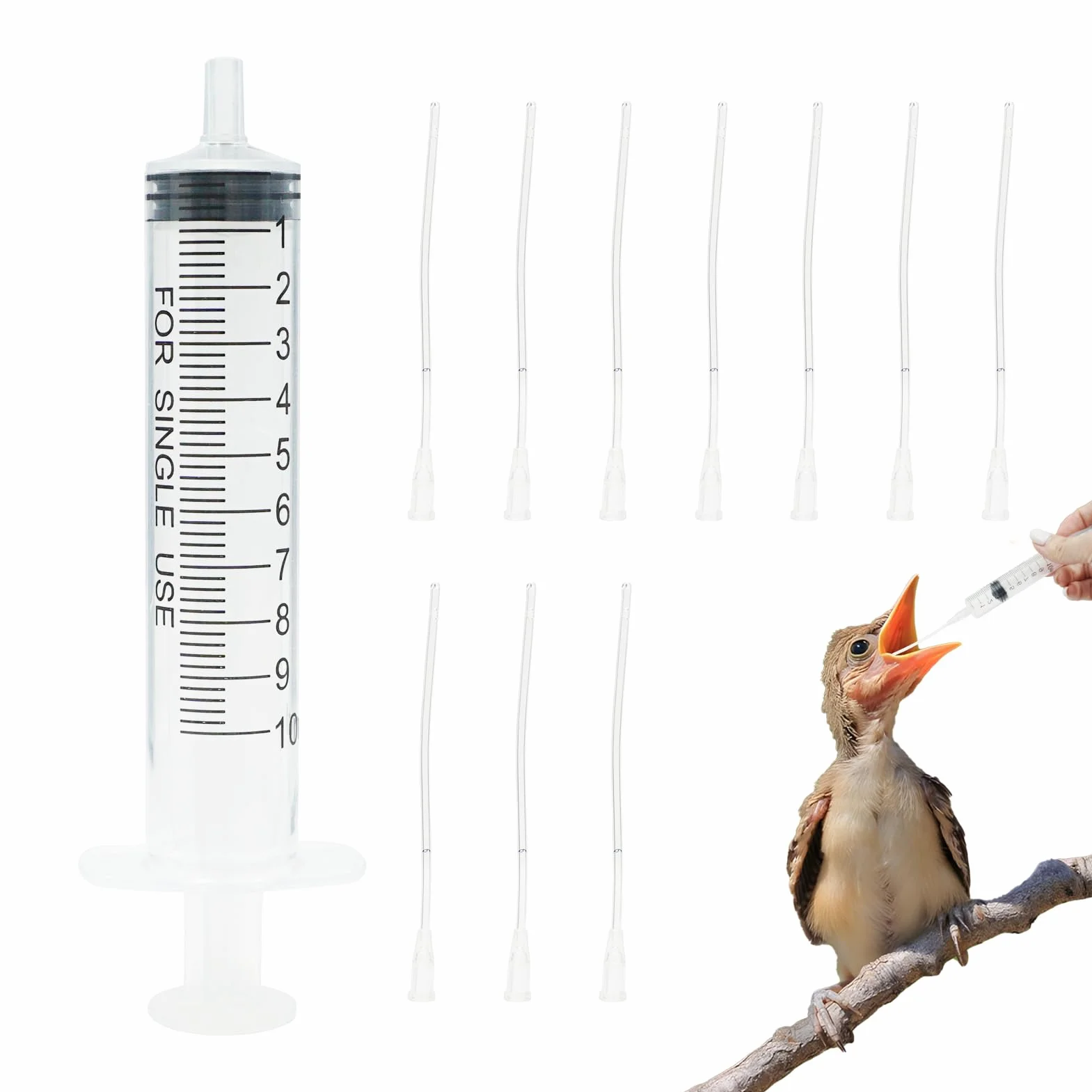 Seringue Alimentaire 10 ML pour Oisillons, Outil Bébés Oiseaux Perroquets