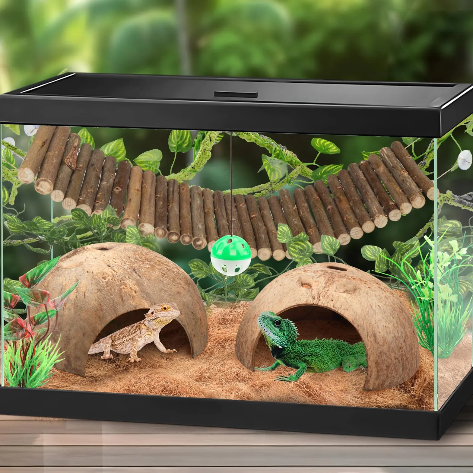 QUOZUO Accessoires de réservoir de gecko à crête, plantes grimpantes pour reptiles avec coquilles de noix de coco, pont, cachette