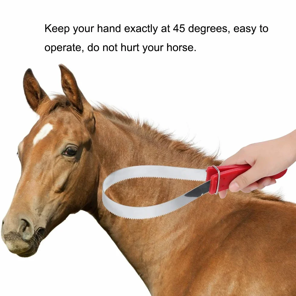 Grattoir À Sueur pour Cheval, Racloir Lame Double Face pour Perdre Poils Cheval Poney