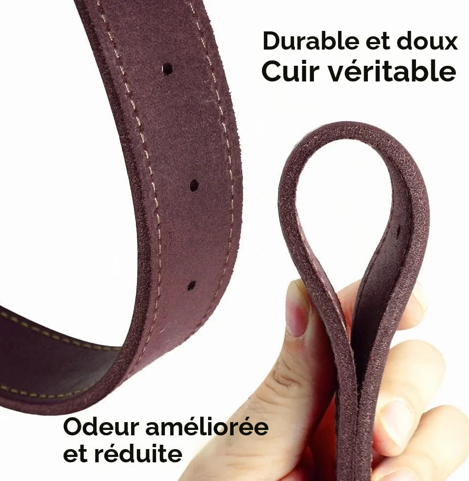 Collier personnalisé en Cuir véritable avec numéro de téléphone nom du Chien réglable durable pour chien Brun