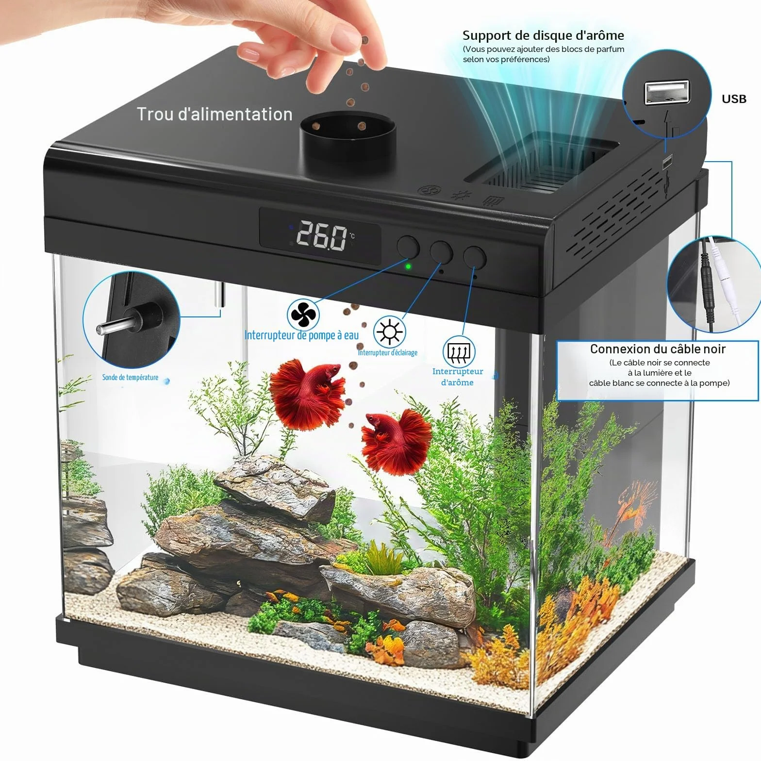 AQQA Kit de Démarrage Aquarium 14 L en Verre avec Filtre LED, 10 Couleurs Réglables, Nano Betta