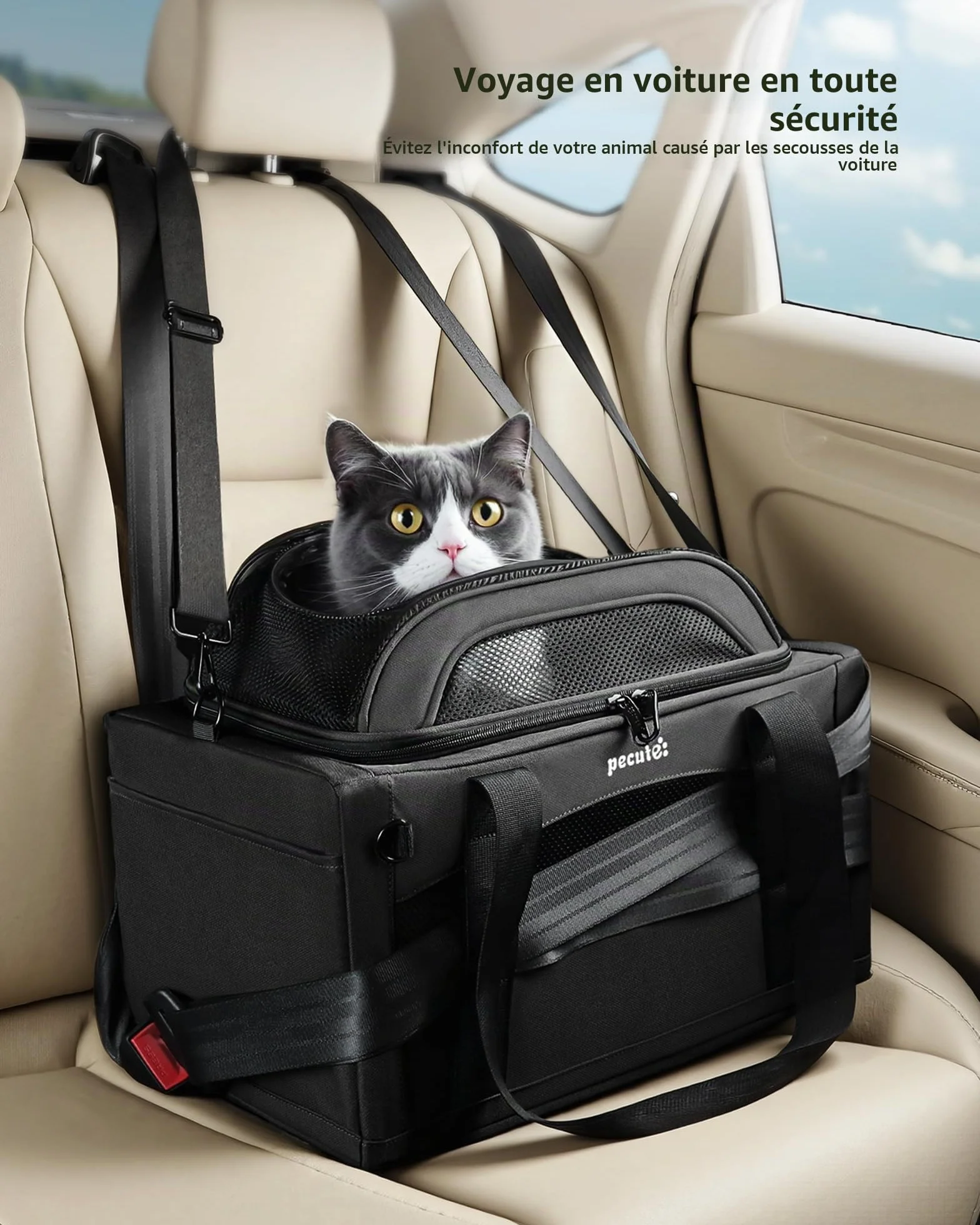 Pecute Sac de Transport pour Chat Extension Supérieure, Cadre Ultra Stable, Pliable, Gris Foncé