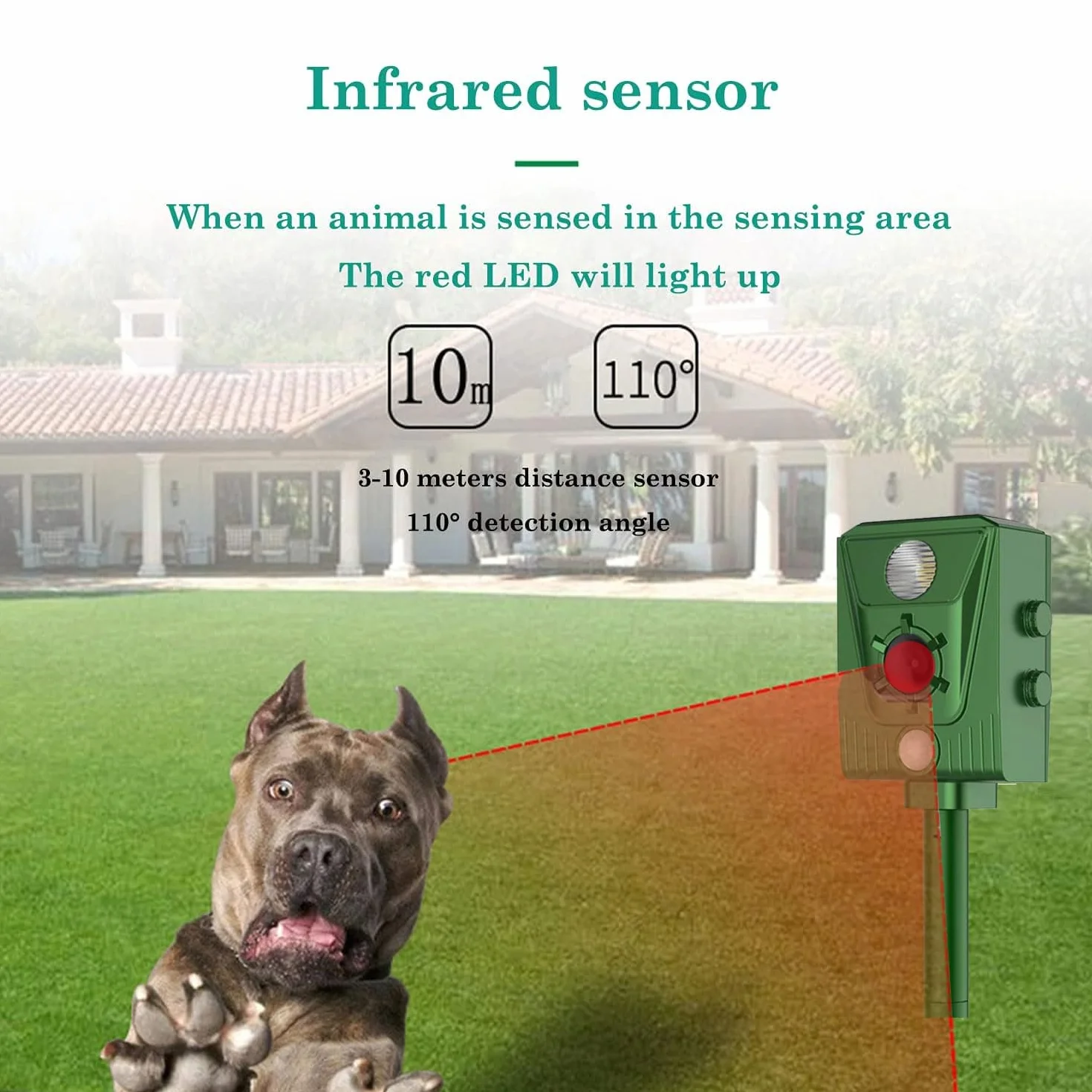 Répulsif Chat Ultrason Solaire Exterieur avec Détecteur de Mouvement Anti Rongeurs Chats Chiens