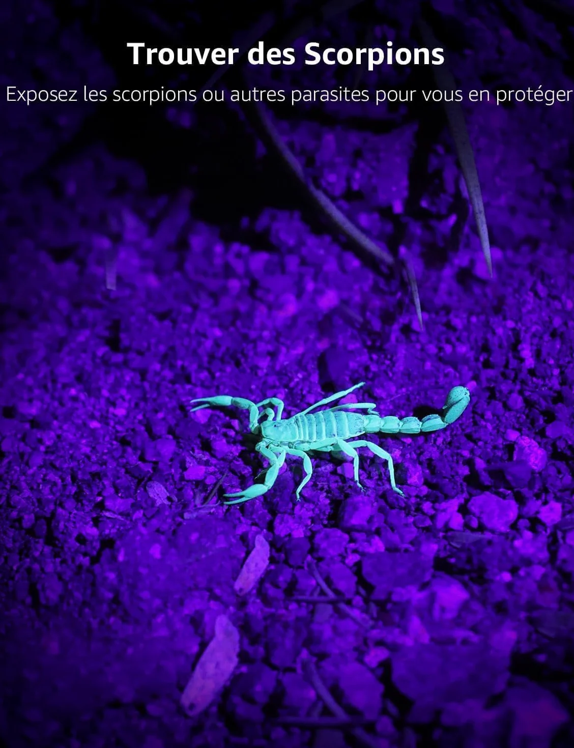 Lepro Lampe UV 395nm LED Lumière Noire Ultraviolet, 3 Piles AAA Fournies