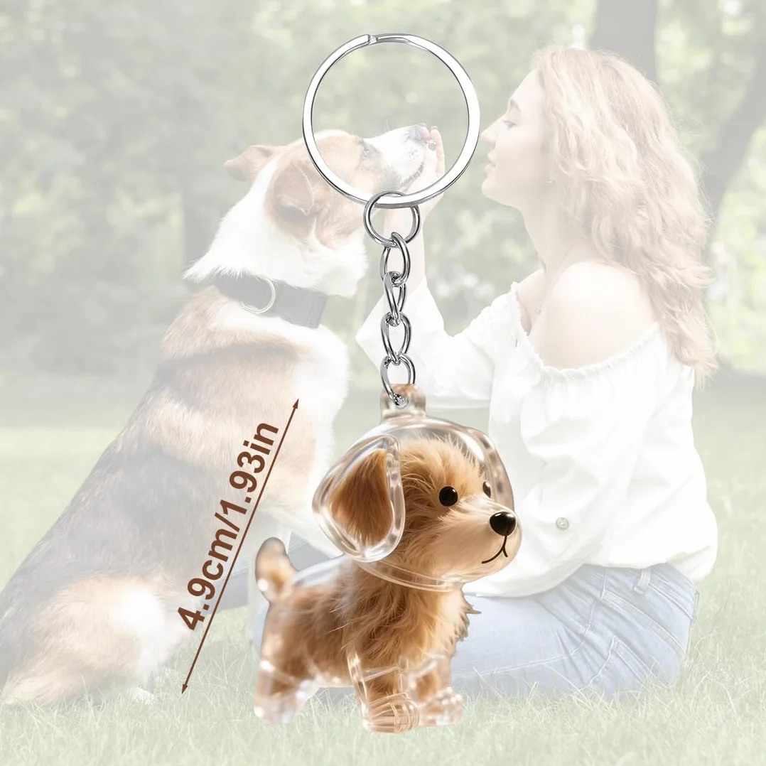 Pendentif commémoratif poils de chien, porte-clés collecteur, bouteille rangement animaux, capsule souvenir fourrure