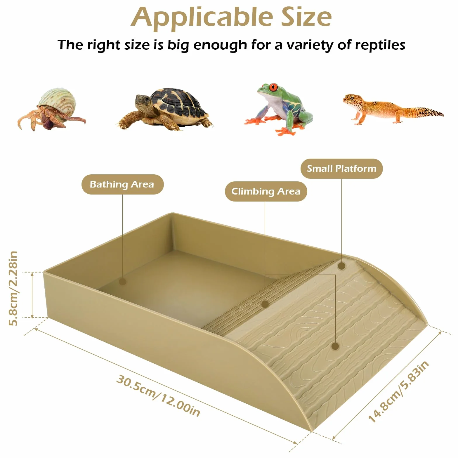 Eummy Gamelle à eau pour tortue - Bol de bain antidérapant avec rampe - Plastique - Accessoires pour tortue
