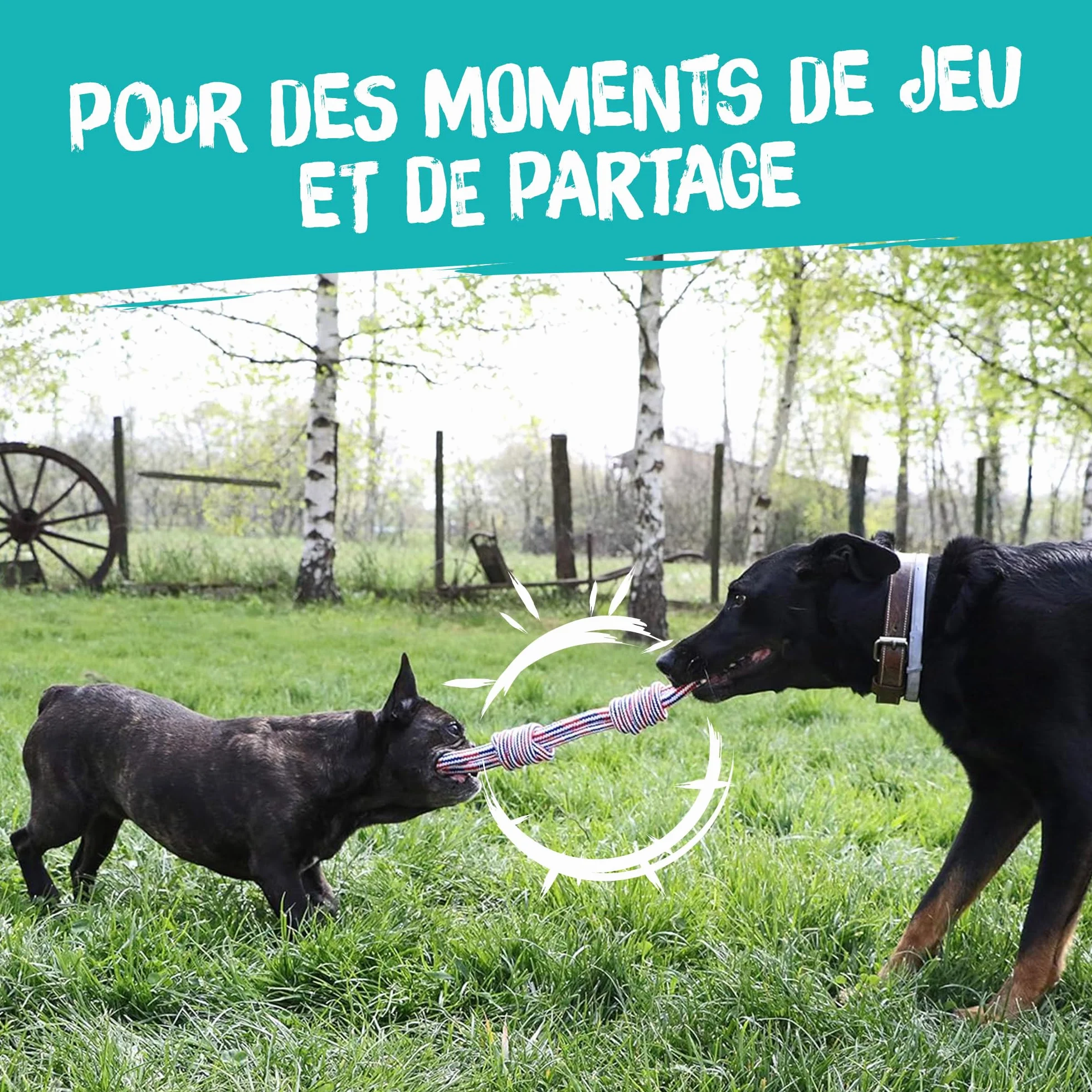 Jouet pour Chien Corde à Noeud Double Noeud 35 cm