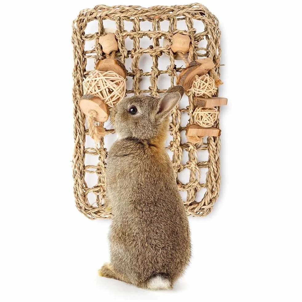 Jouet de Protection Interne pour Dents de Lapin avec Tapis en Jonc de Mer