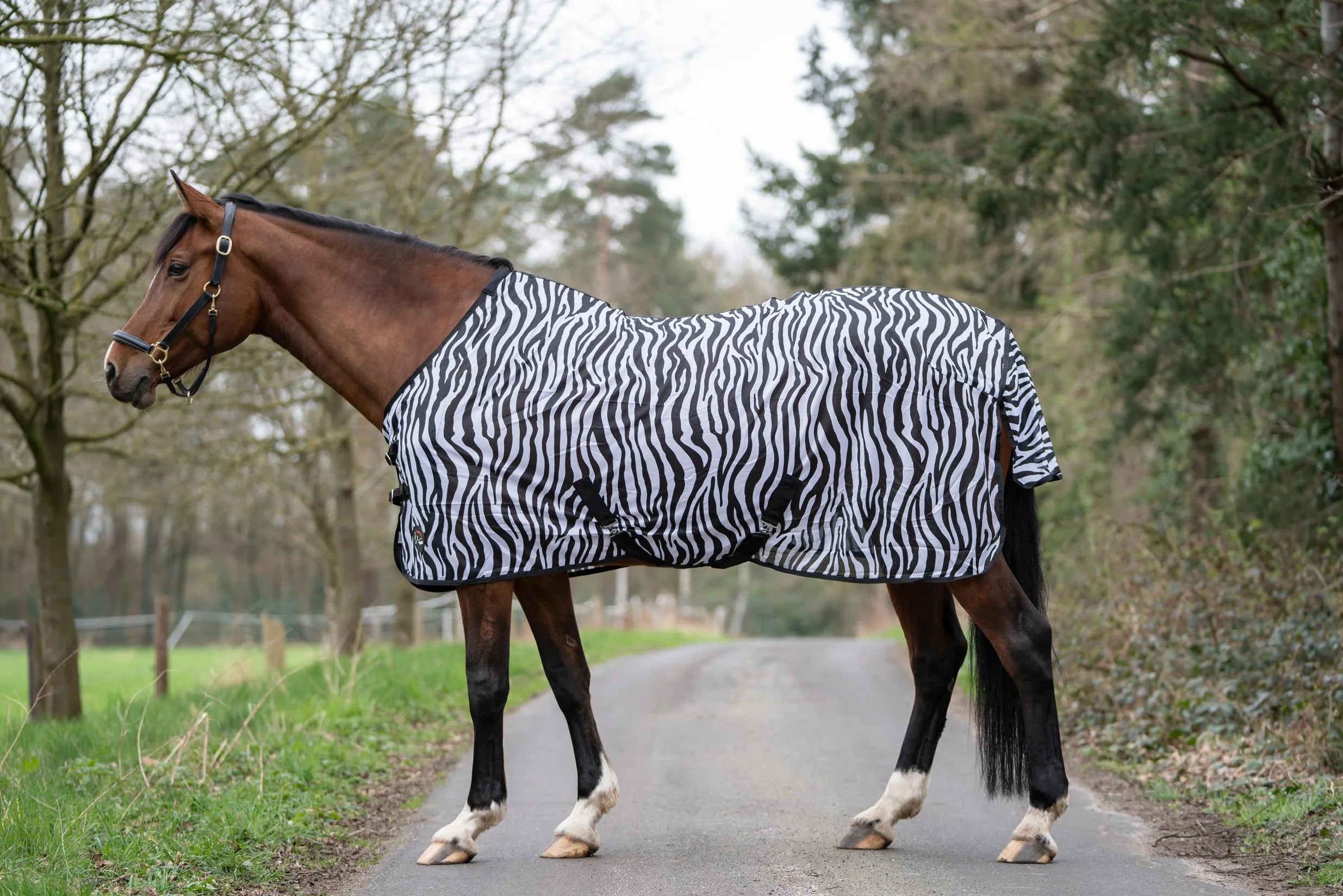 HKM Zebra Couverture Anti avec Sangles Crois Blanc/Noir 125 cm