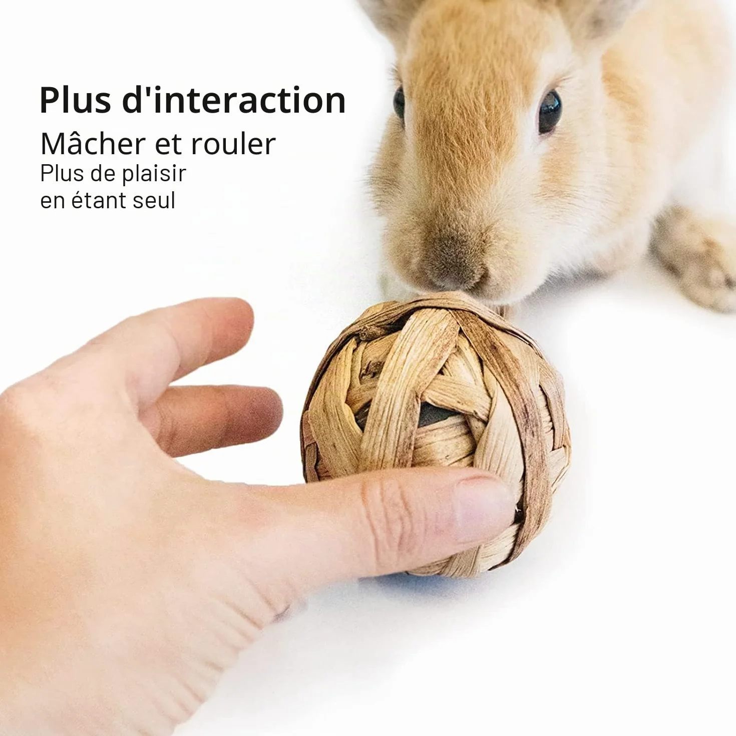 Jouets à Mâcher pour Petits Animaux, Lot de 9 Balles pour Lapins Hamster Perroquet Chinchilla Gerbille