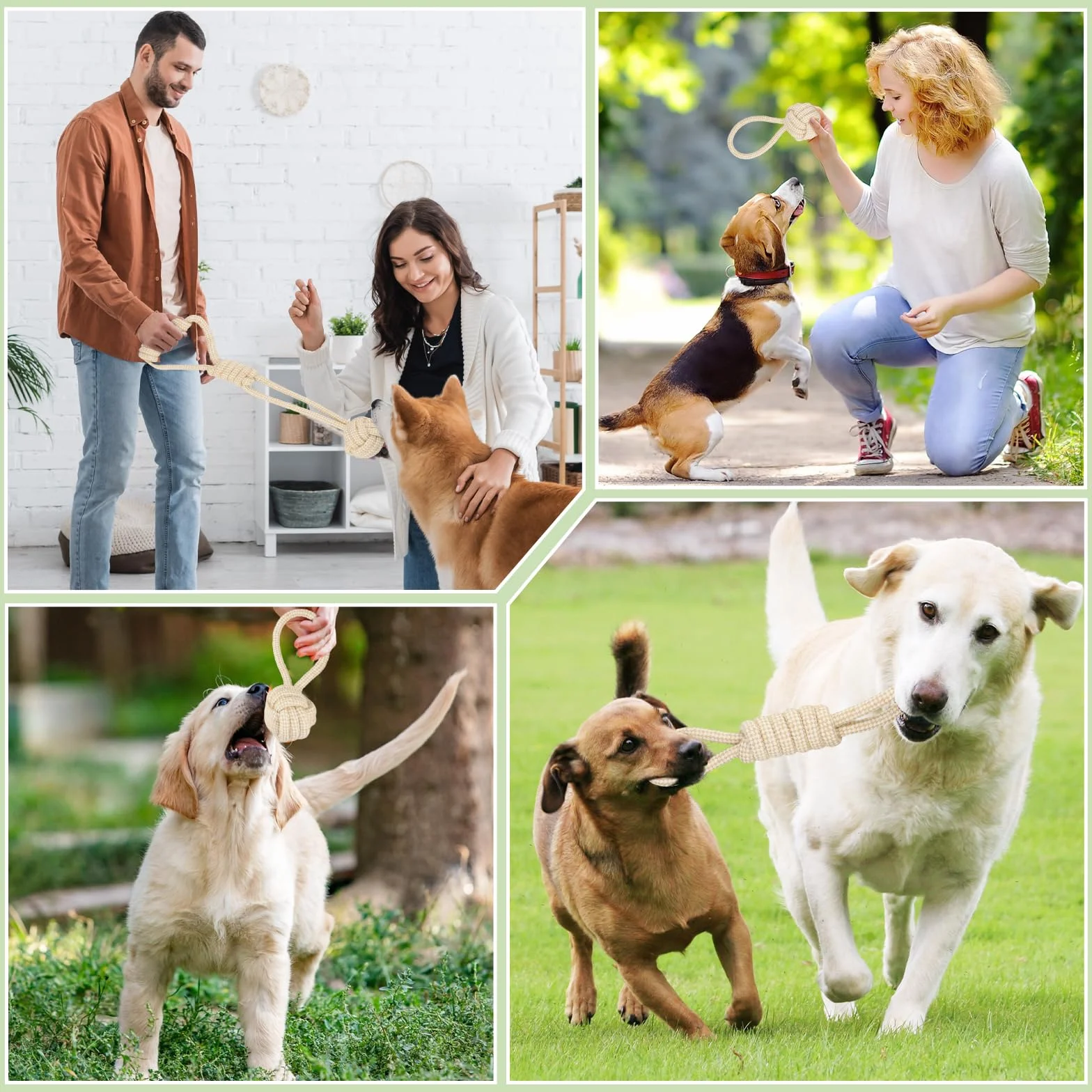 Lot de 6 Jouets Chien en Corde avec Balle à Nœuds Indestructible à Mâcher