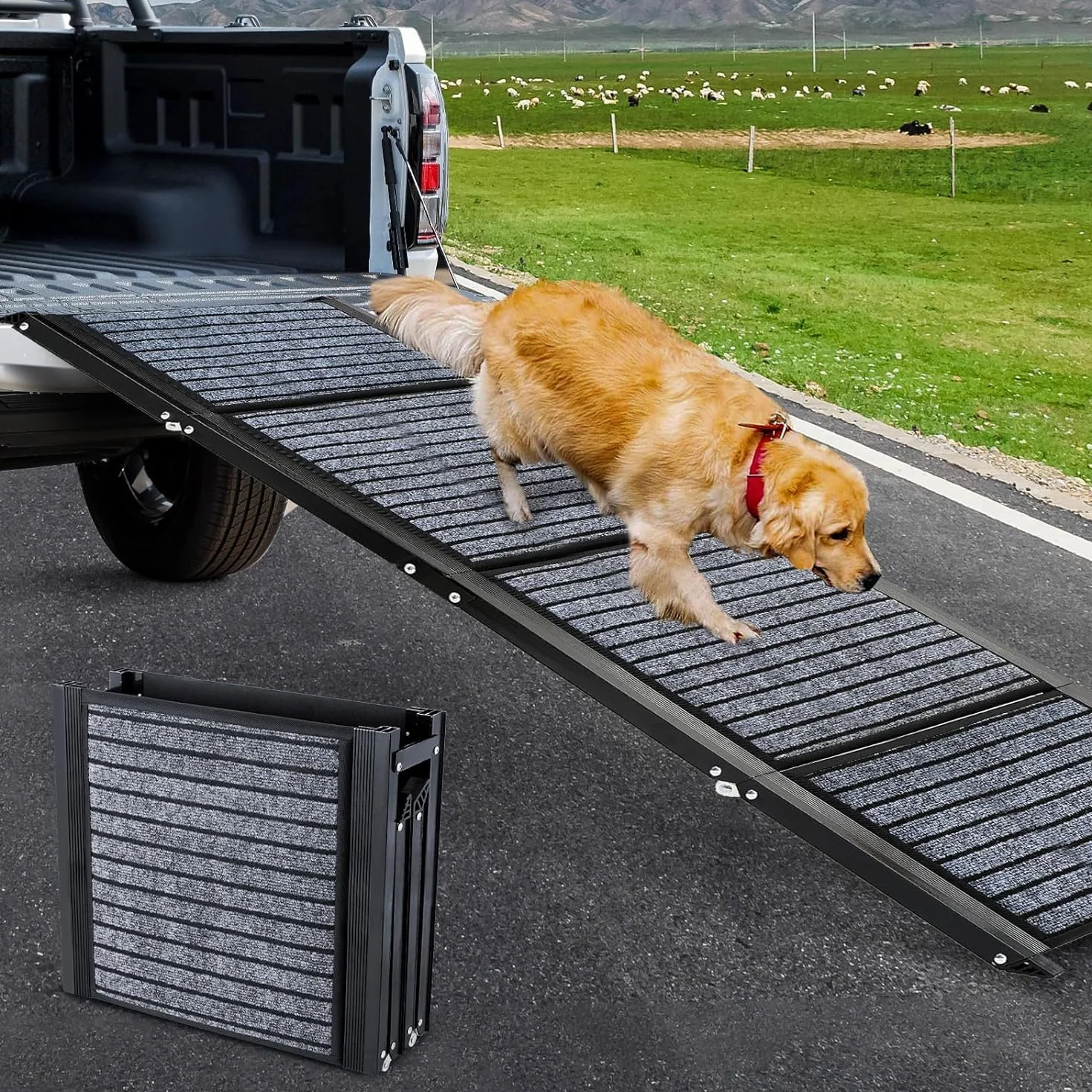 Rampe pour chien de 180 cm de long et 50 cm de large, pliable, avec tapis antidérapant, pliable pour l'extérieur, escalier, voiture, pour chiens de taille moyenne et grande dans un SUV et un camion