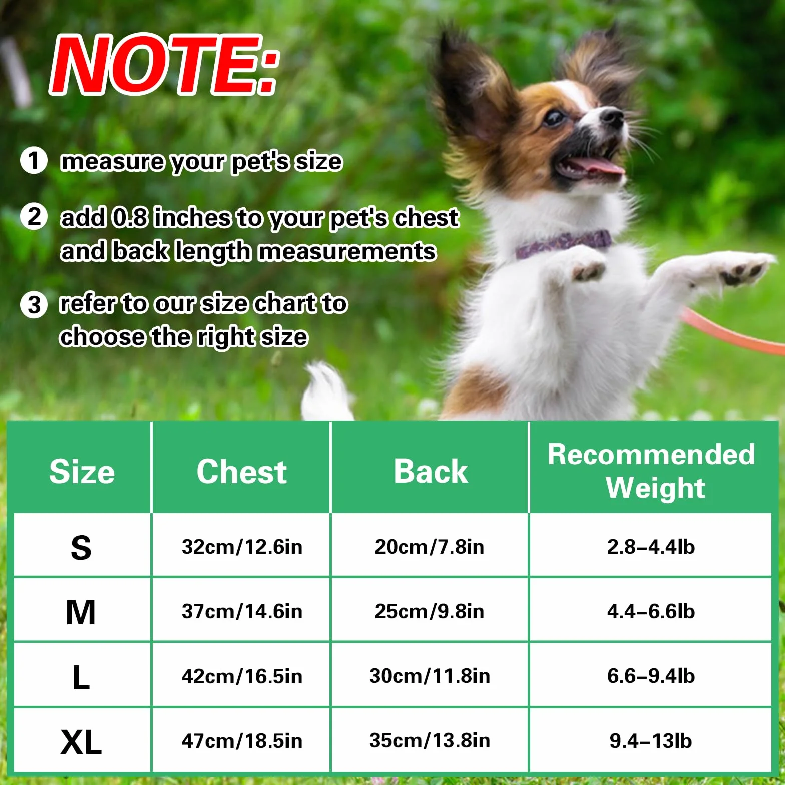 Winmany Vêtement d'été pour chien taille S vert