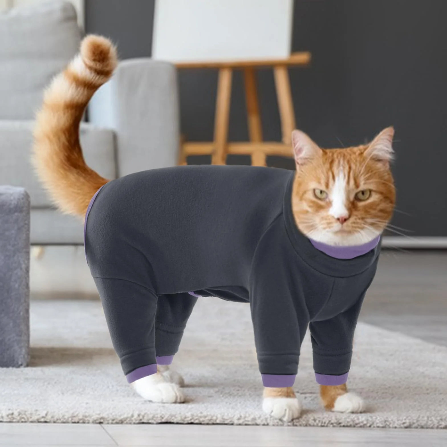 Manteau Chaud d'Hiver pour Chats, Sweat-Shirt Pyjama Body Post Opératoire Noir M