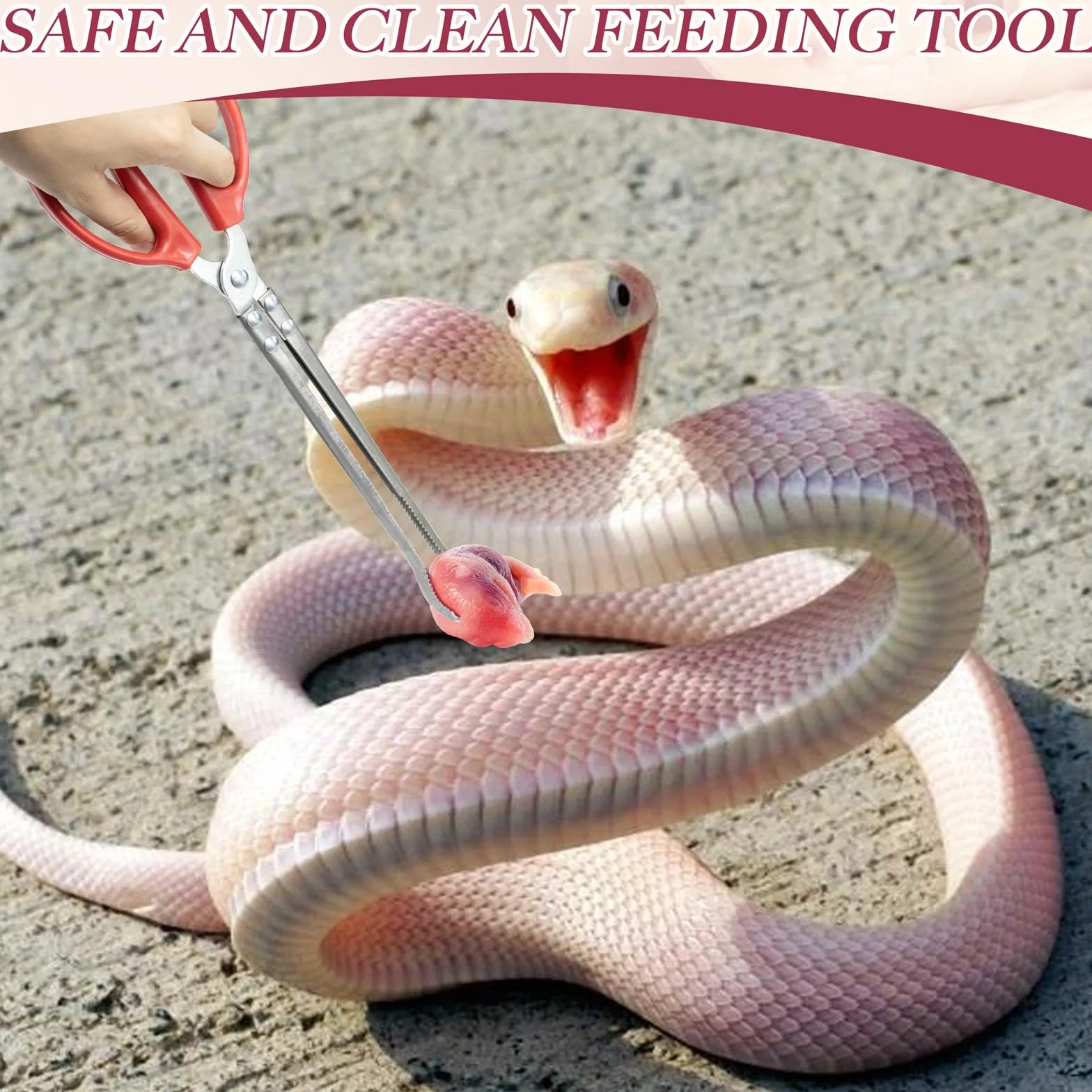 Pince à Serpent 38cm Extra Longues pour Reptiles Accessoires de Terrariums Lézards