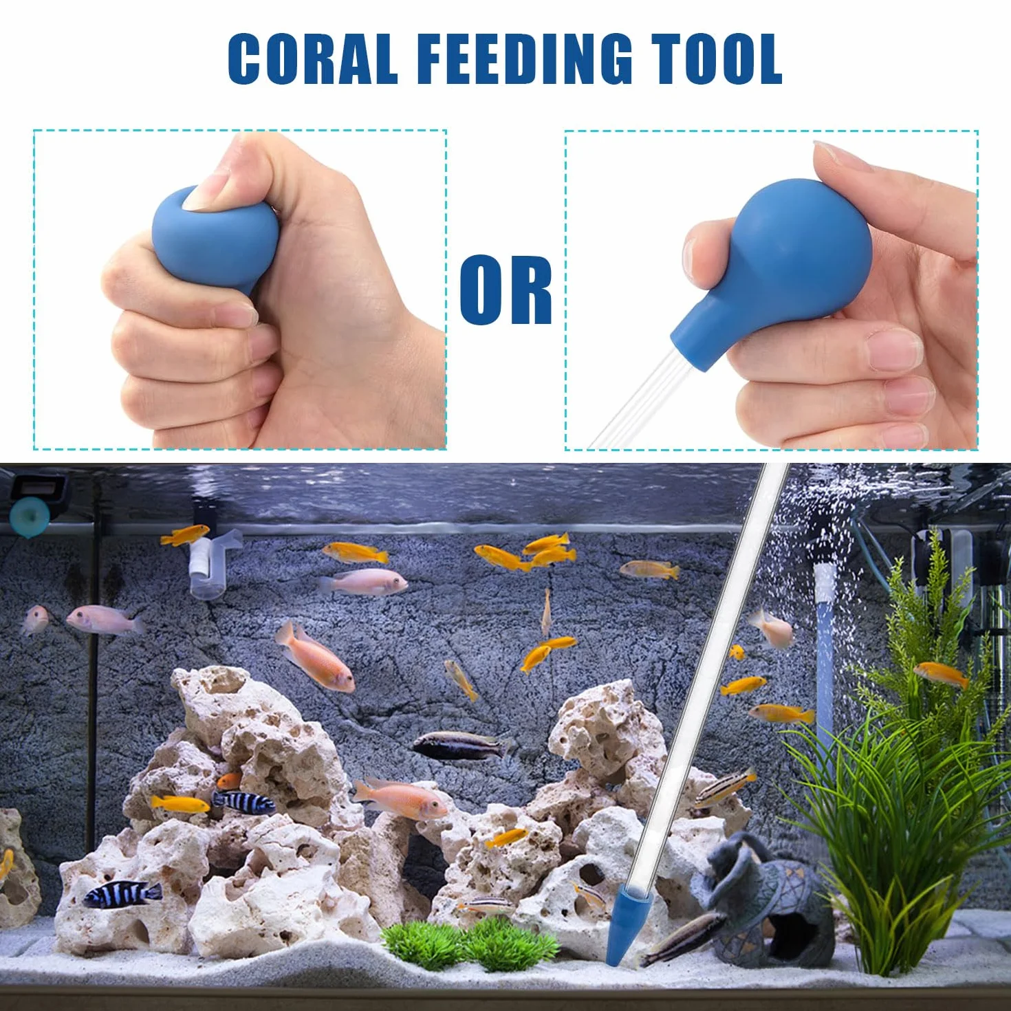 JOYOLA Mangeoire à Corail Pipette Multifonctionnelle pour Aquarium