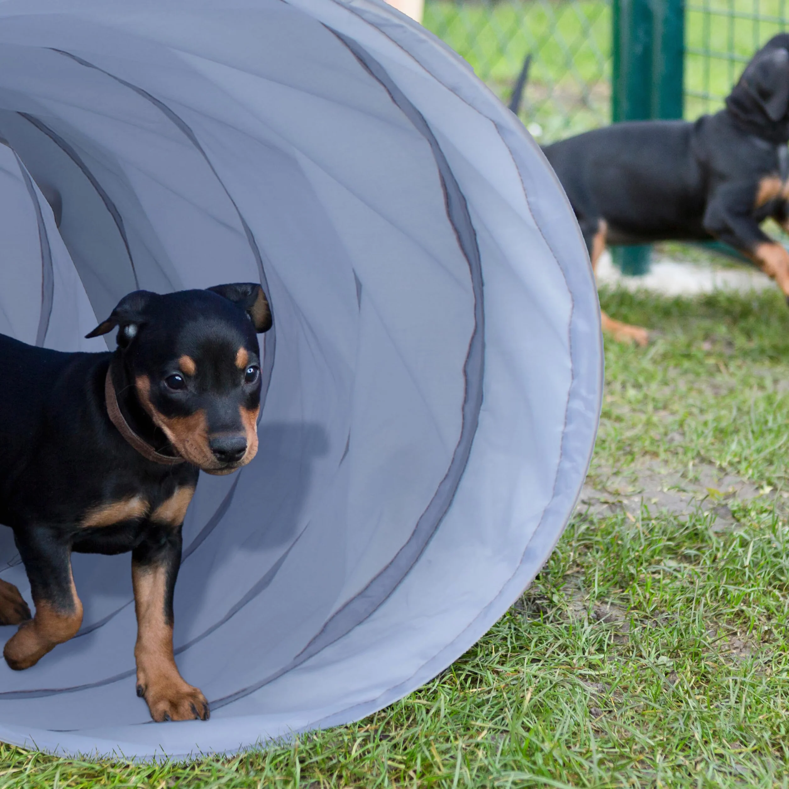 Relaxdays Tunnel d'agilité pour Chien 2 mètres 40 cm Pliable Gris