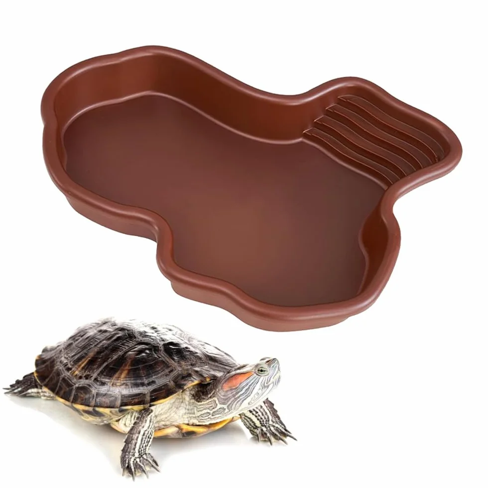 Bassin de bain pour tortues et reptiles