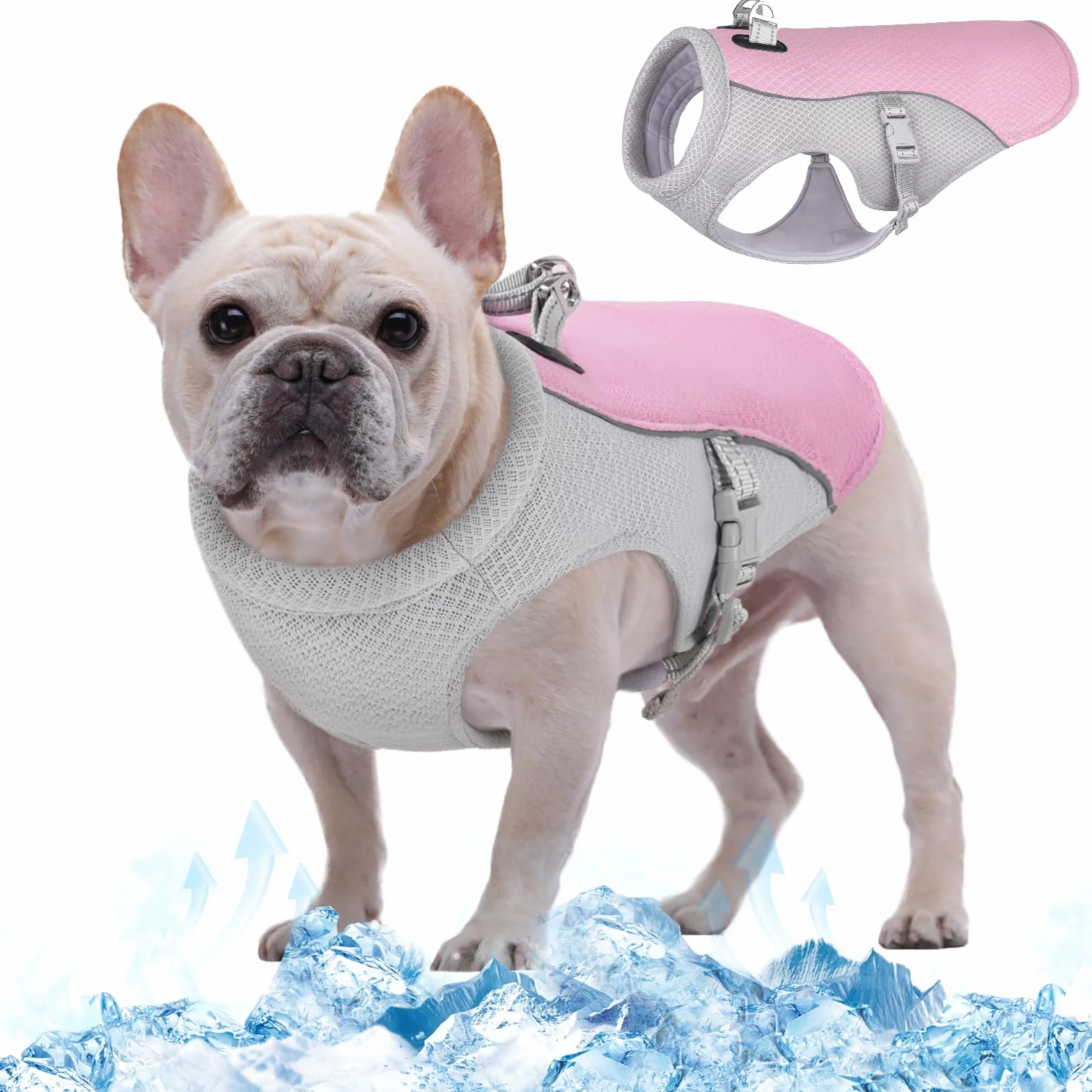 Kuoser Gilet rafraîchissant pour chien, Manteau de refroidissement respirant pour animaux de compagnie