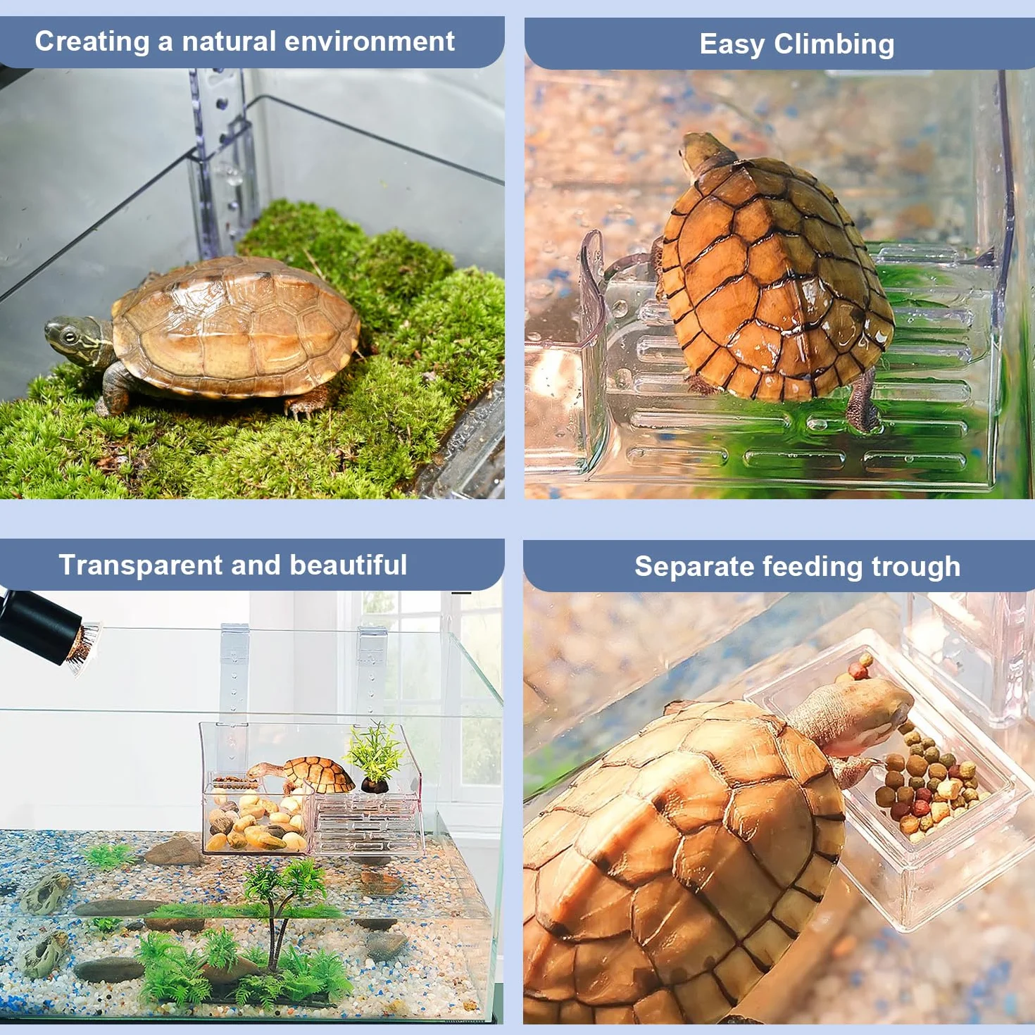 Plate-Forme De Repos Suspendue pour Tortues Aquatique Transparente Réglable Accessoire Aquarium