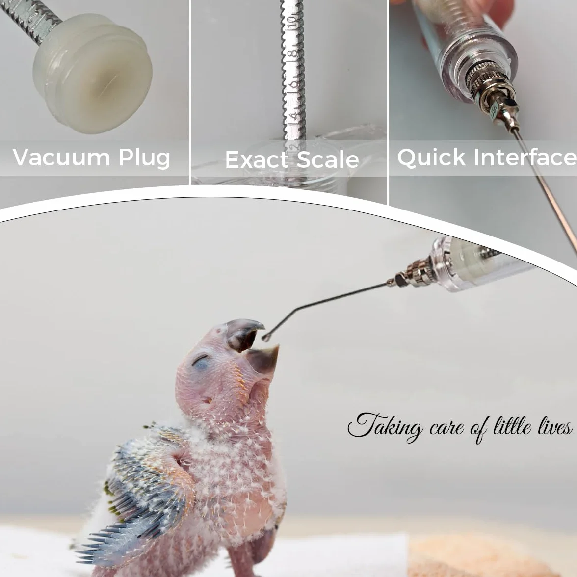 Kit de seringue d'alimentation manuelle pour oiseaux, 6 pièces, tubes de gavage 20 ml