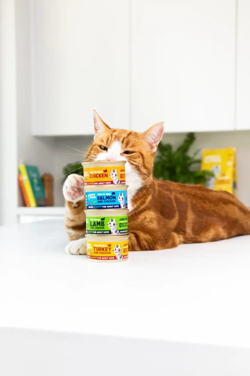 Edgard & Cooper pâtée Chat Morceaux Multipack Poulet Saumon Dinde Agneau 24 x 85g