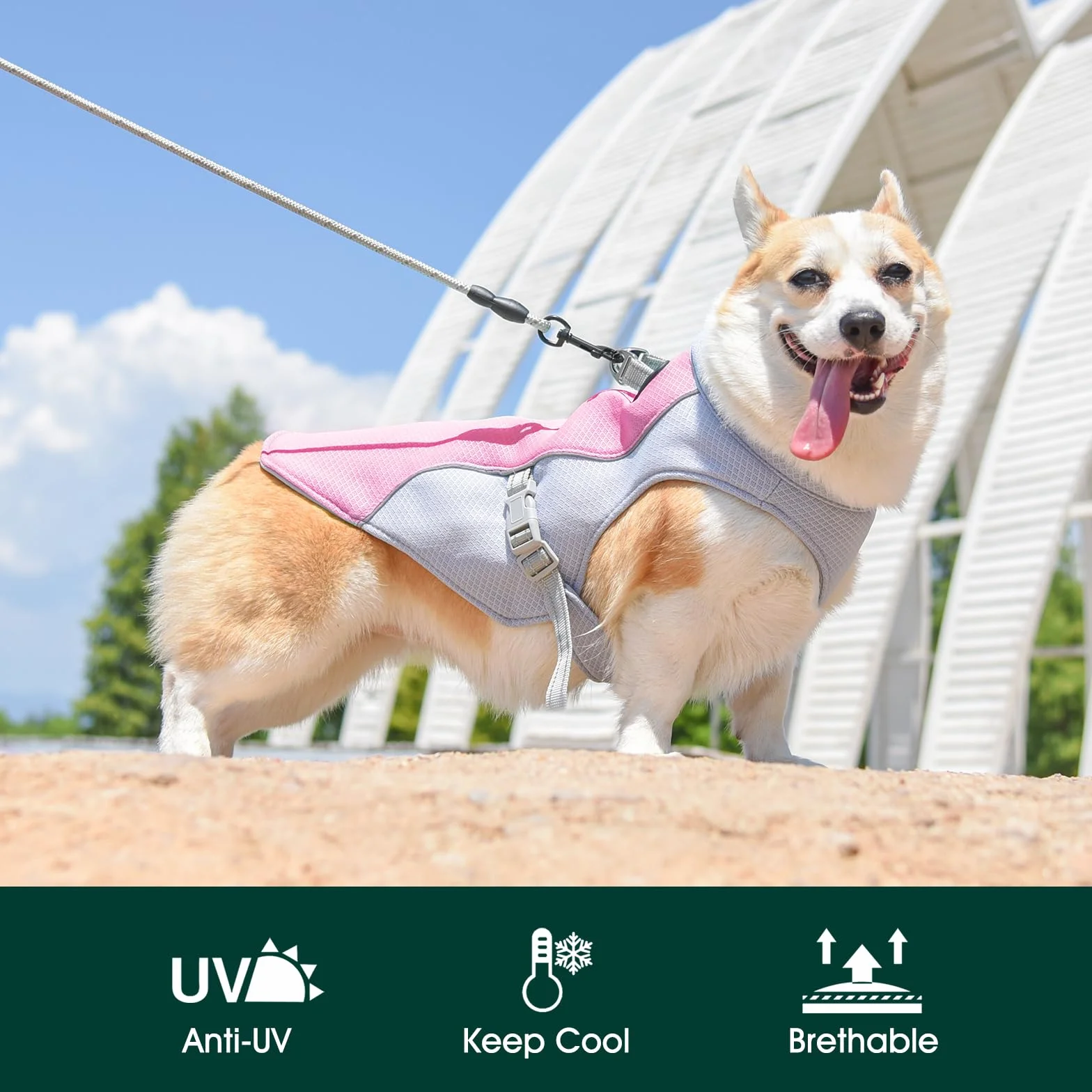 Kuoser Gilet rafraîchissant pour chien, Manteau de refroidissement respirant pour animaux de compagnie